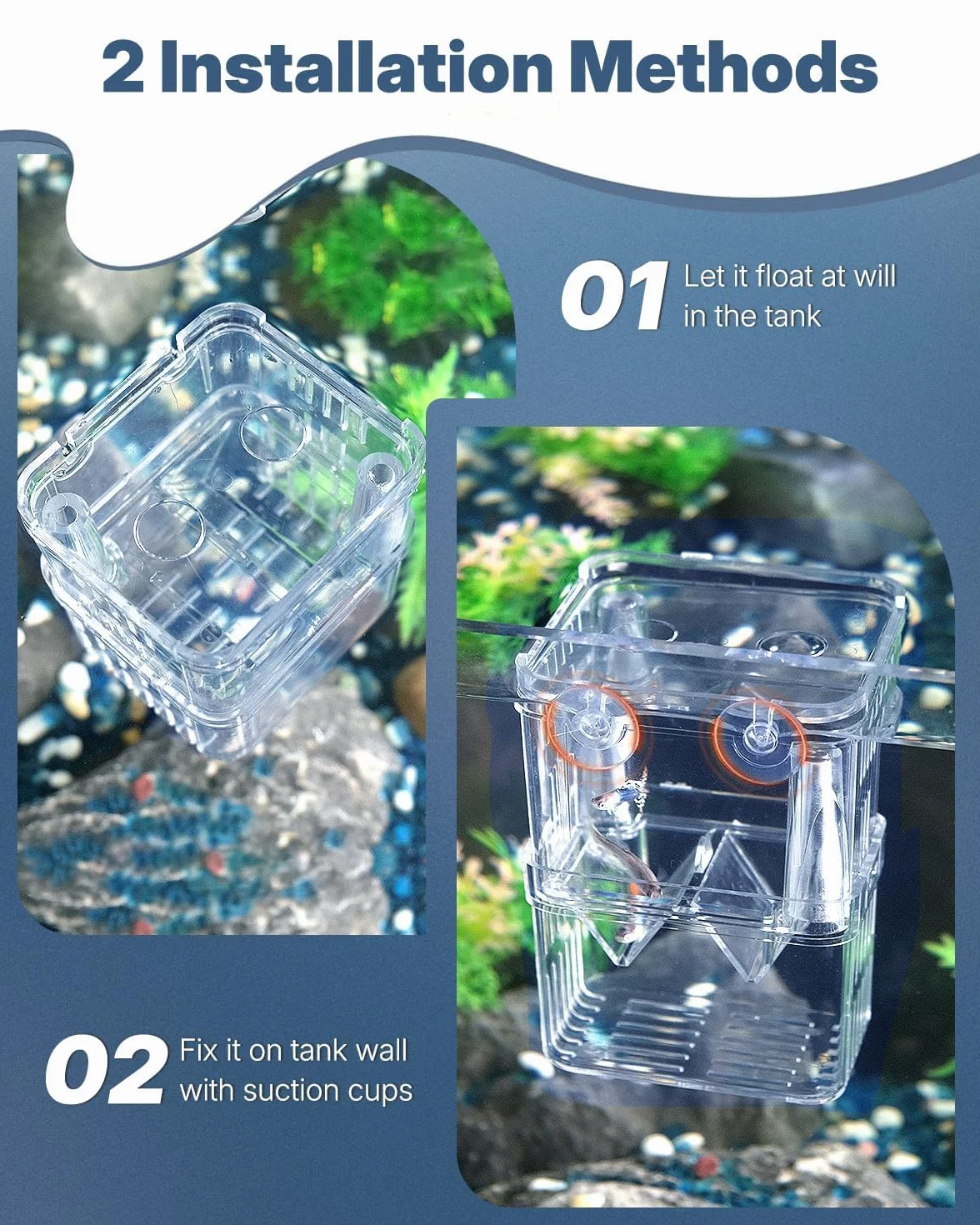 Pawfly Aquarium Boîte d'élevage en Plastique Transparent pour Poissons Incubateur Guppy