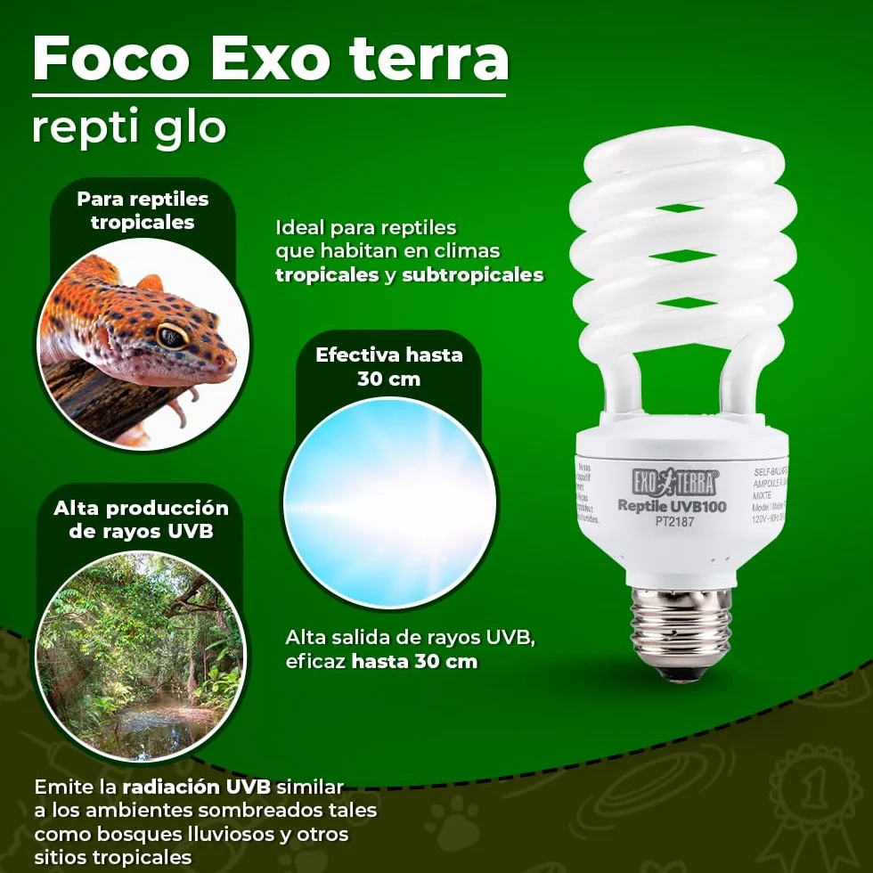 Exoterra Reptiglo Fluocompact 5.0 25 W Ampoule Reptiles Amphibiens