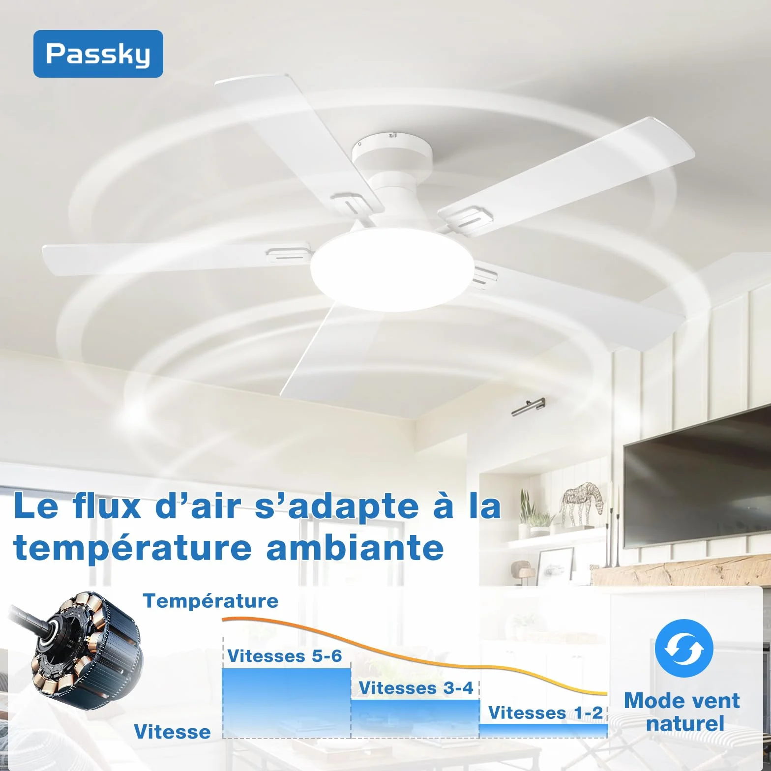 Ventilateur de plafond Passky 132 cm avec éclairage télécommande moteur CC silencieux 5 pales 6 vitesses 3 températures de couleur minuterie blanc