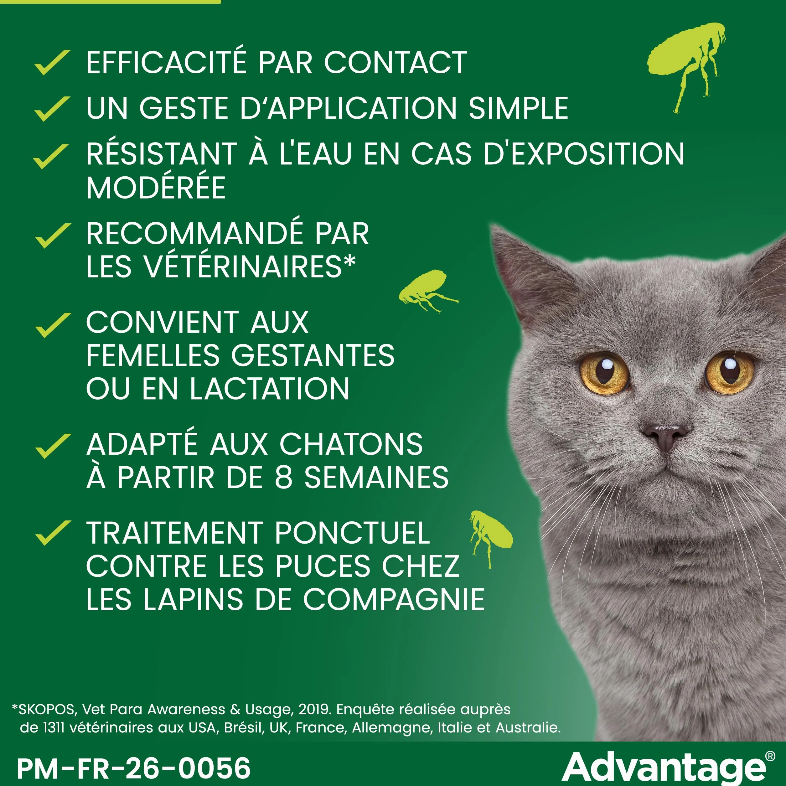 Advantage Chat & Lapin 4 kg – Pipettes anti puces chat prévention infestations – Traitement anti puces lapin protection continue 3-4 semaines – 4 x 0,8 ml