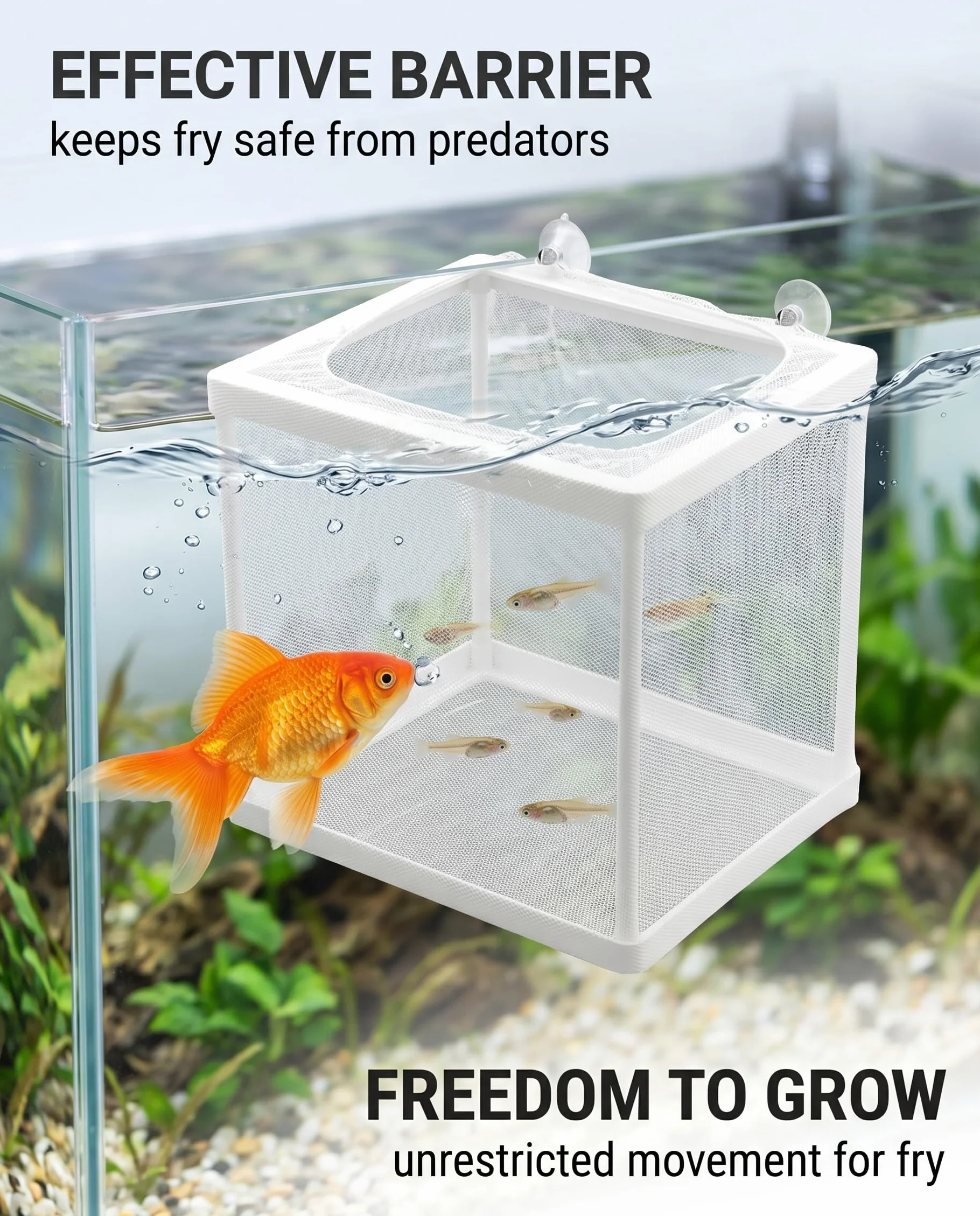 Boîte d’Élevage de Poissons, Aquarium Incubateur Filet, Séparation et Isolation pour Poisson Bébé