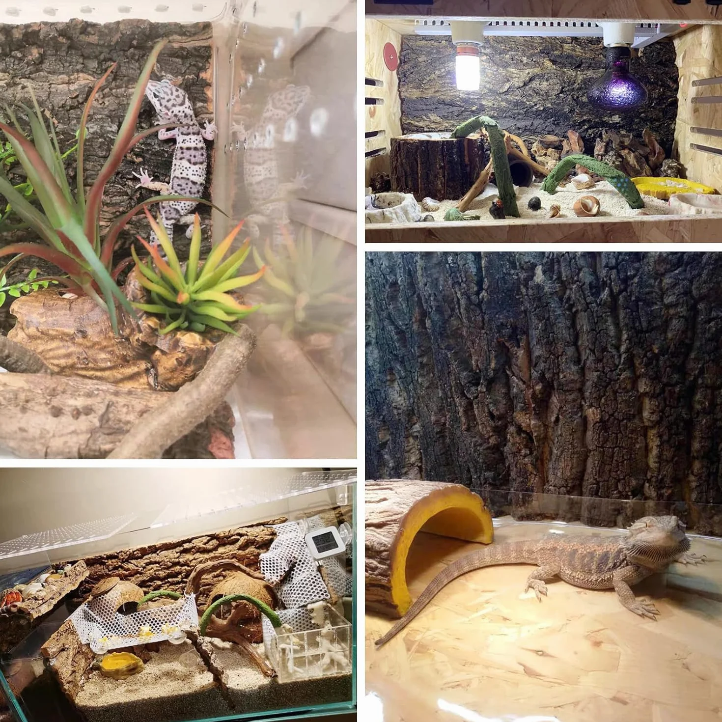 Lot de 2 Parois Arrière en Écorce de Liège pour Terrarium 15 x 20 cm Fond Naturel pour Reptiles