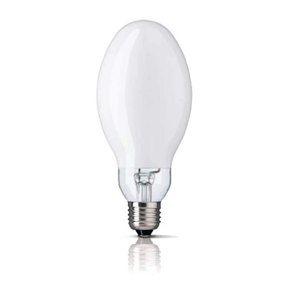 Vapeur de mercure 125 W culot E-27