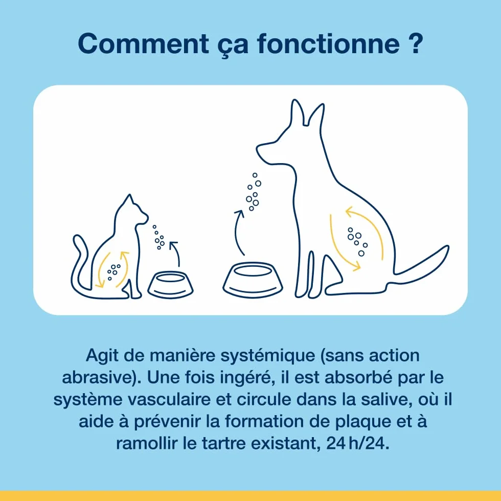 ProDen PlaqueOff Poudre Dentaire pour Chiens Anti-Tartre 60 g