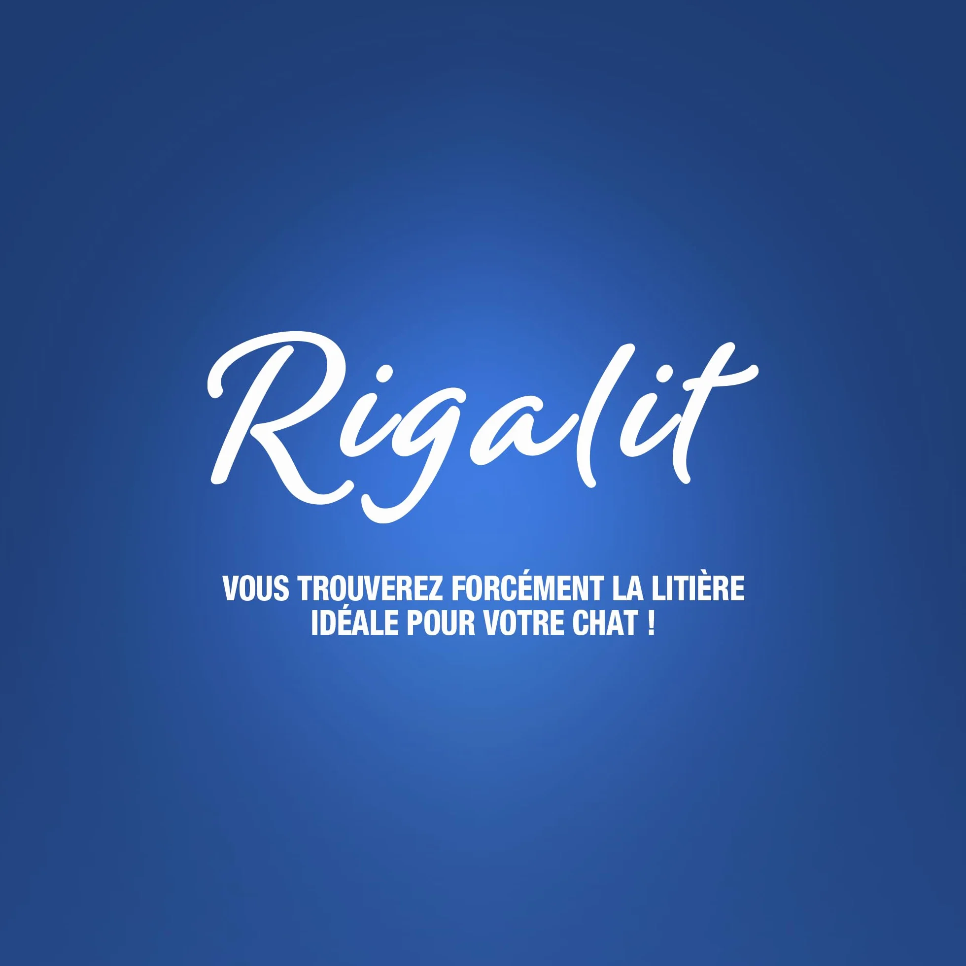 Rigalit Crystal Litière pour Chat Absorbante Minérale Gel de Silice 2,2 kg