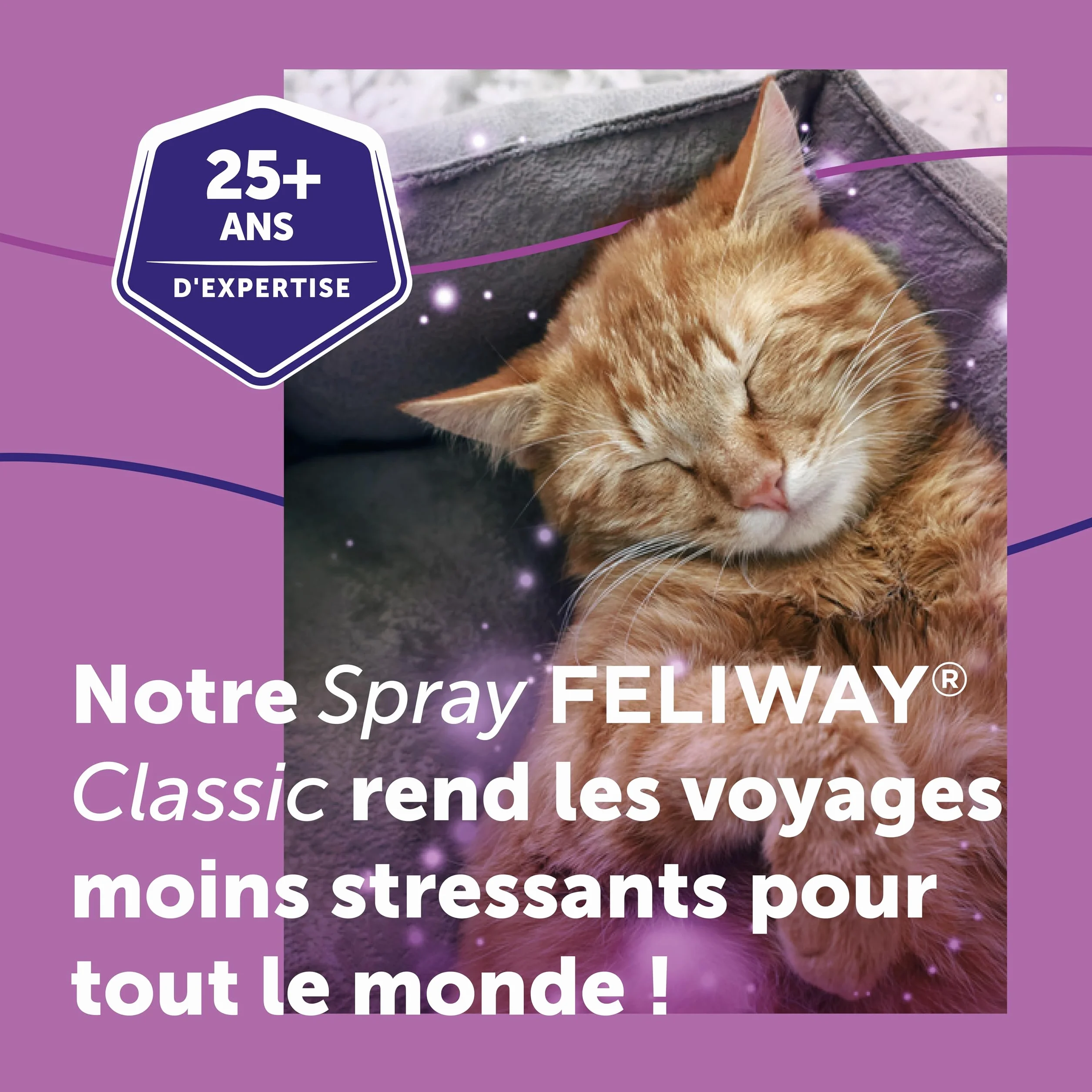 FELIWAY Classic Spray 60 ml - Phéromones Apaisantes pour Chats - Apaise le Stress et le Transport
