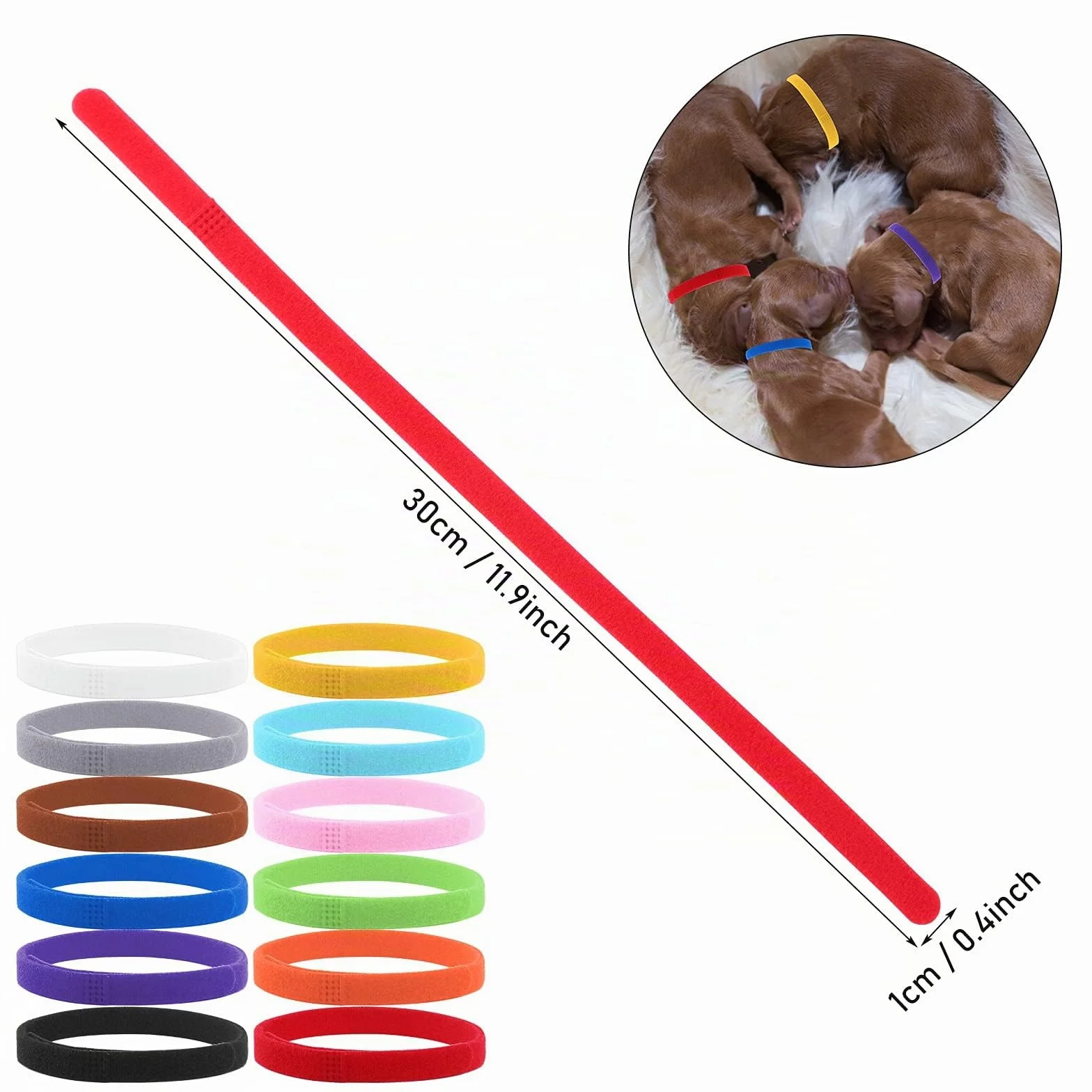 Molain Lot de 12 Colliers de Mise Bas pour Chiot, Collier Chaton Couleurs Assorties pour Petits Chiots Colliers d'identification réglables 30 cm