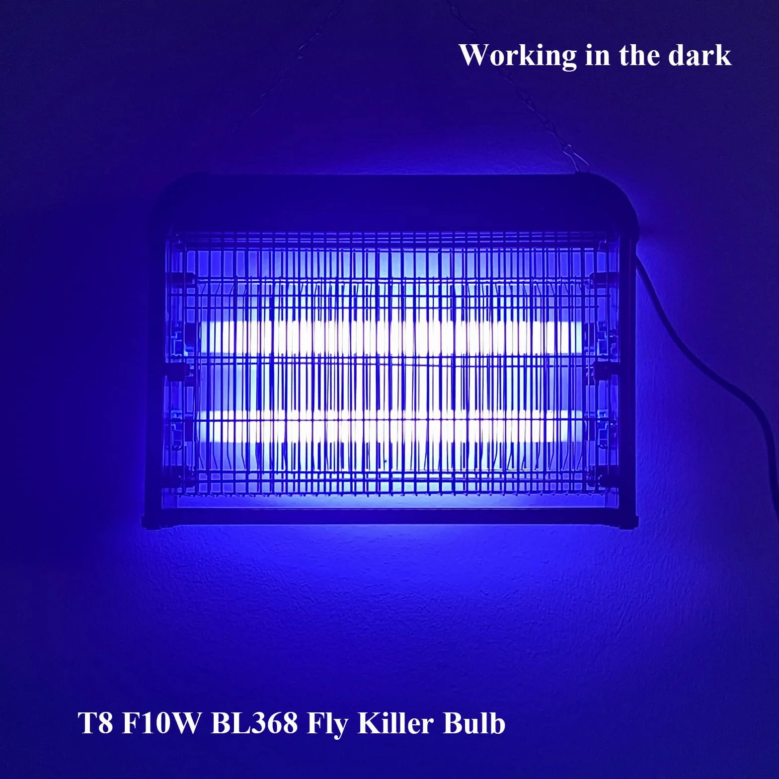 FSL T8 F10W BL368 Ampoule UV 20W pour Lampe Anti Moustique (2 pièces)