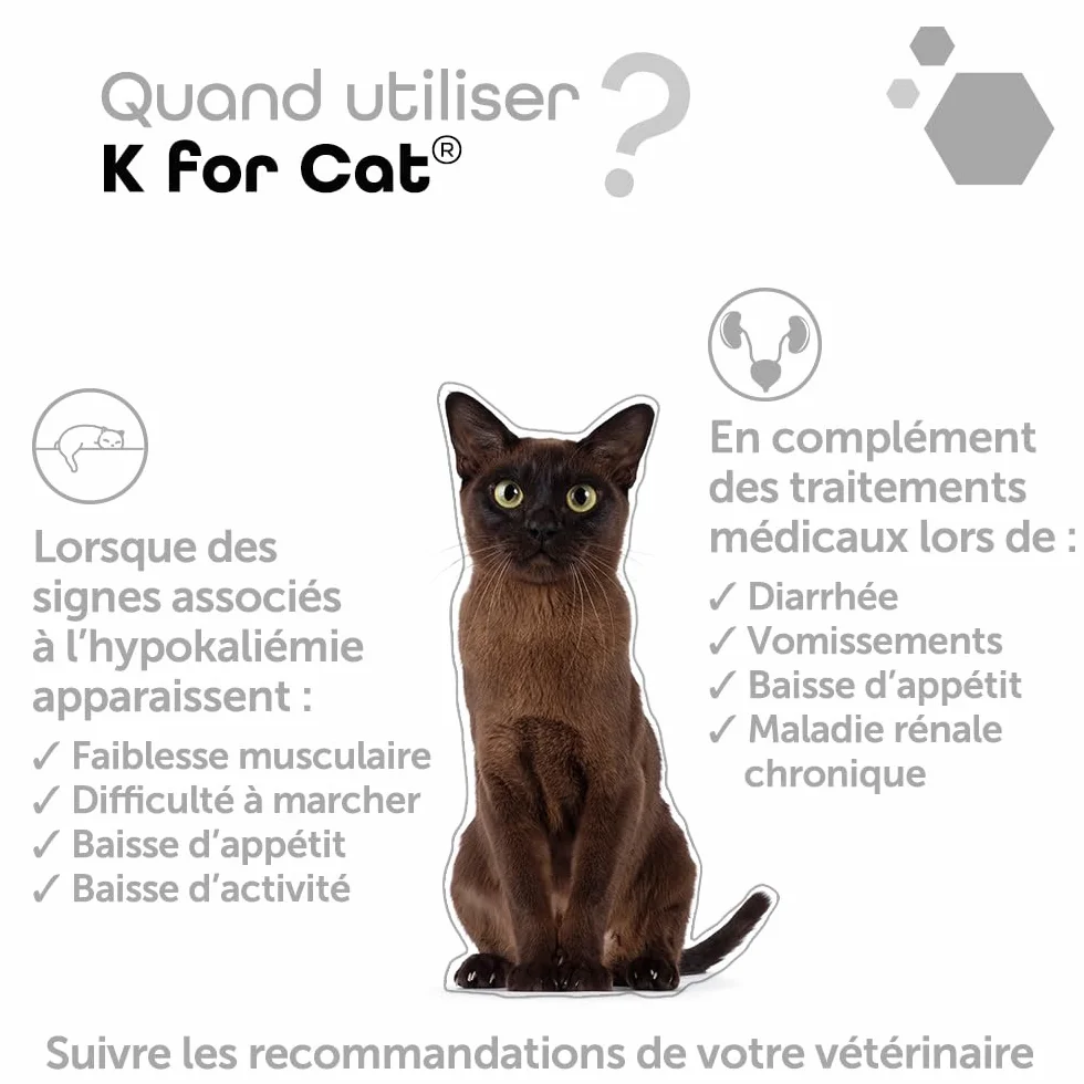 MP Labo K for Cat 60 Gélules Riche en Potassium pour Chien et Chat