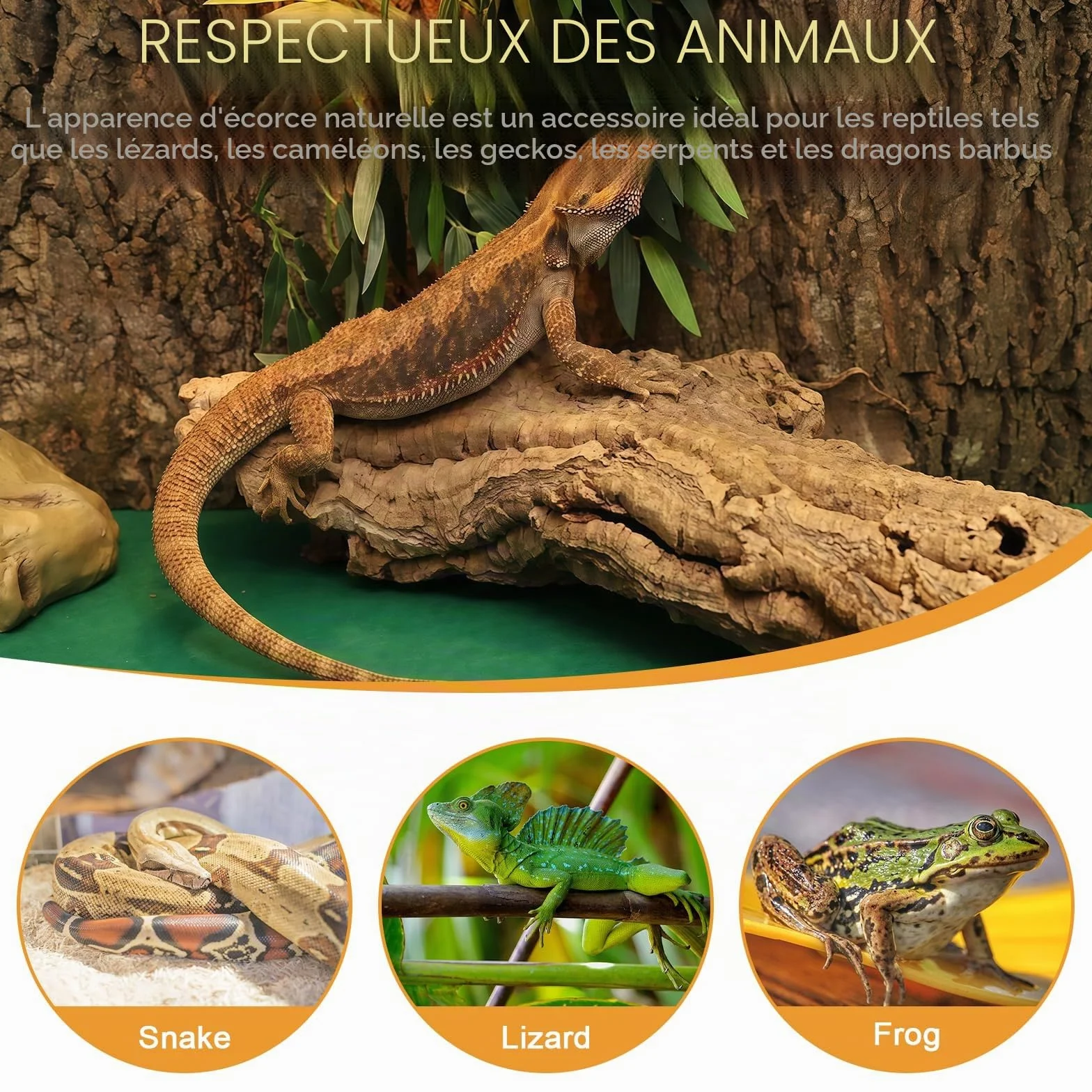 Sporgo Lot de 3 écorces de liège pour terrarium 30 x 20 cm - Tapis d'escalade pour reptiles