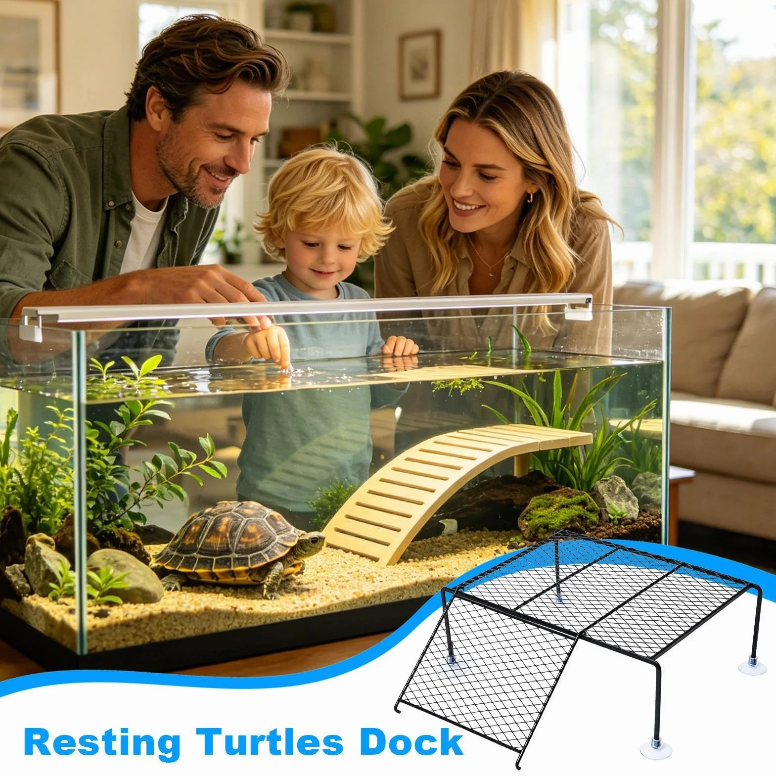 Plateforme solaire pour tortues d'eau - Île de repos avec rampe à ventouse, aquarium
