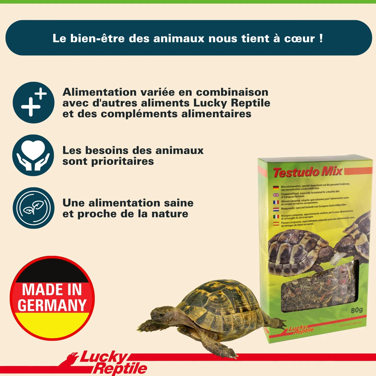 Lucky Reptile Testudo Mix 80g Nourriture pour Tortues terrestres avec Fleurs séchées & Herbes