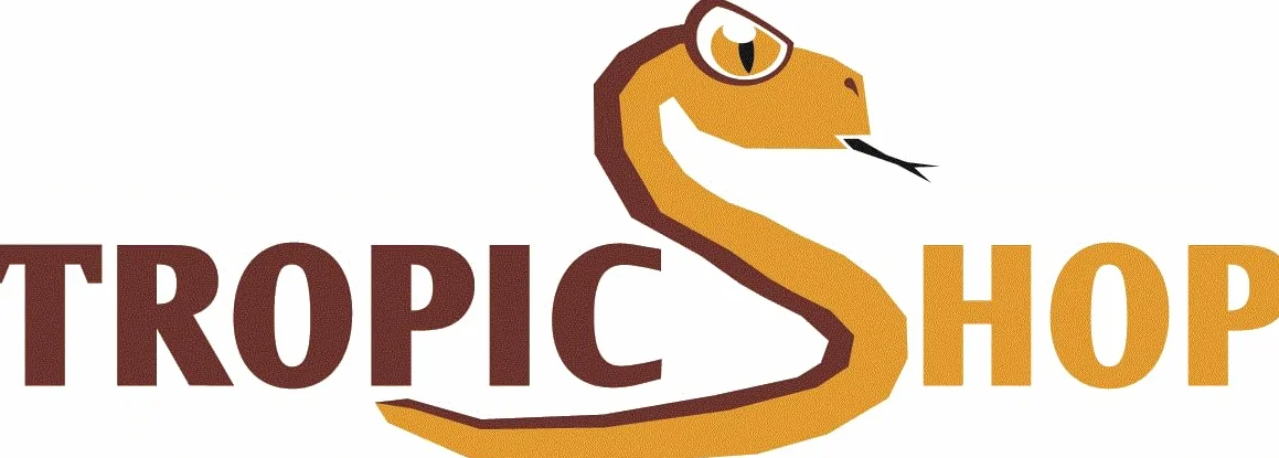 Sépia Rigide la Source Calcium Naturelle 6 – Lot de 10 pour Tortues, pogonas, Oiseaux