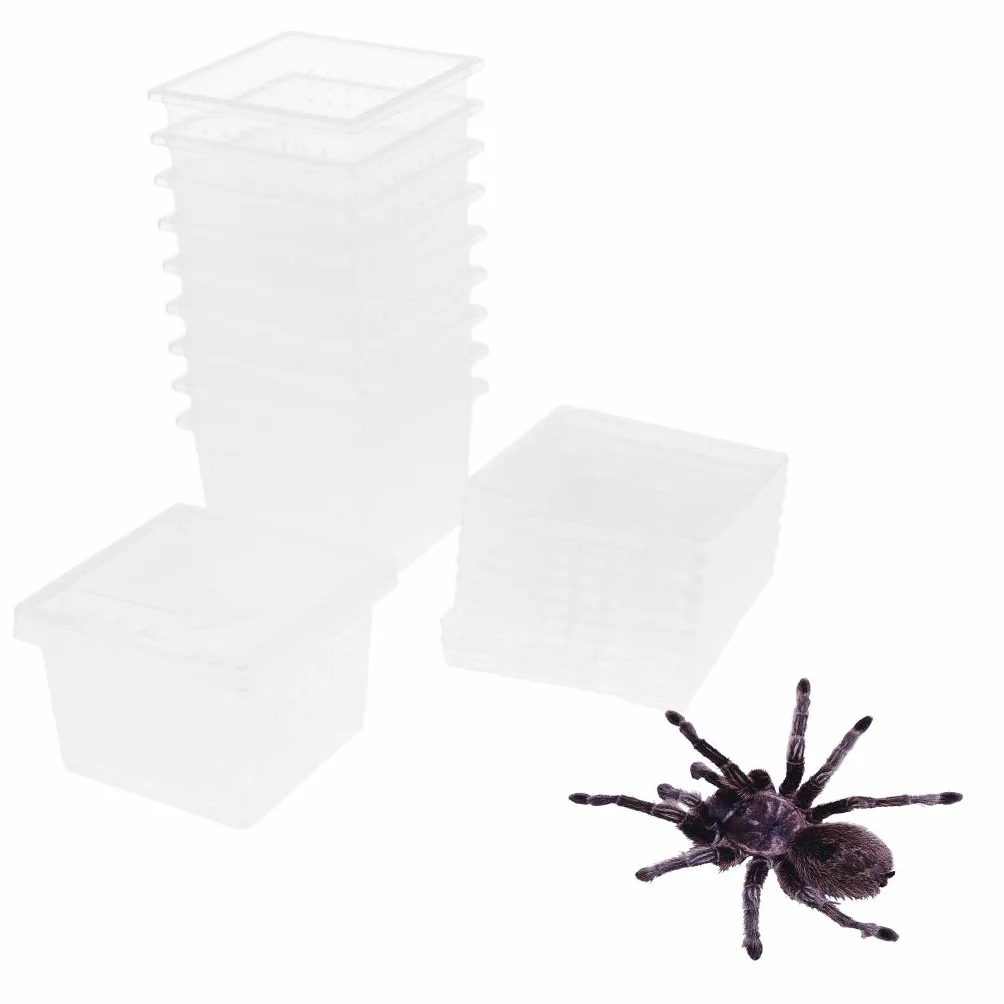 Perfk 10pcs d'Élevage pour Grenouille, Gecko, Insecte