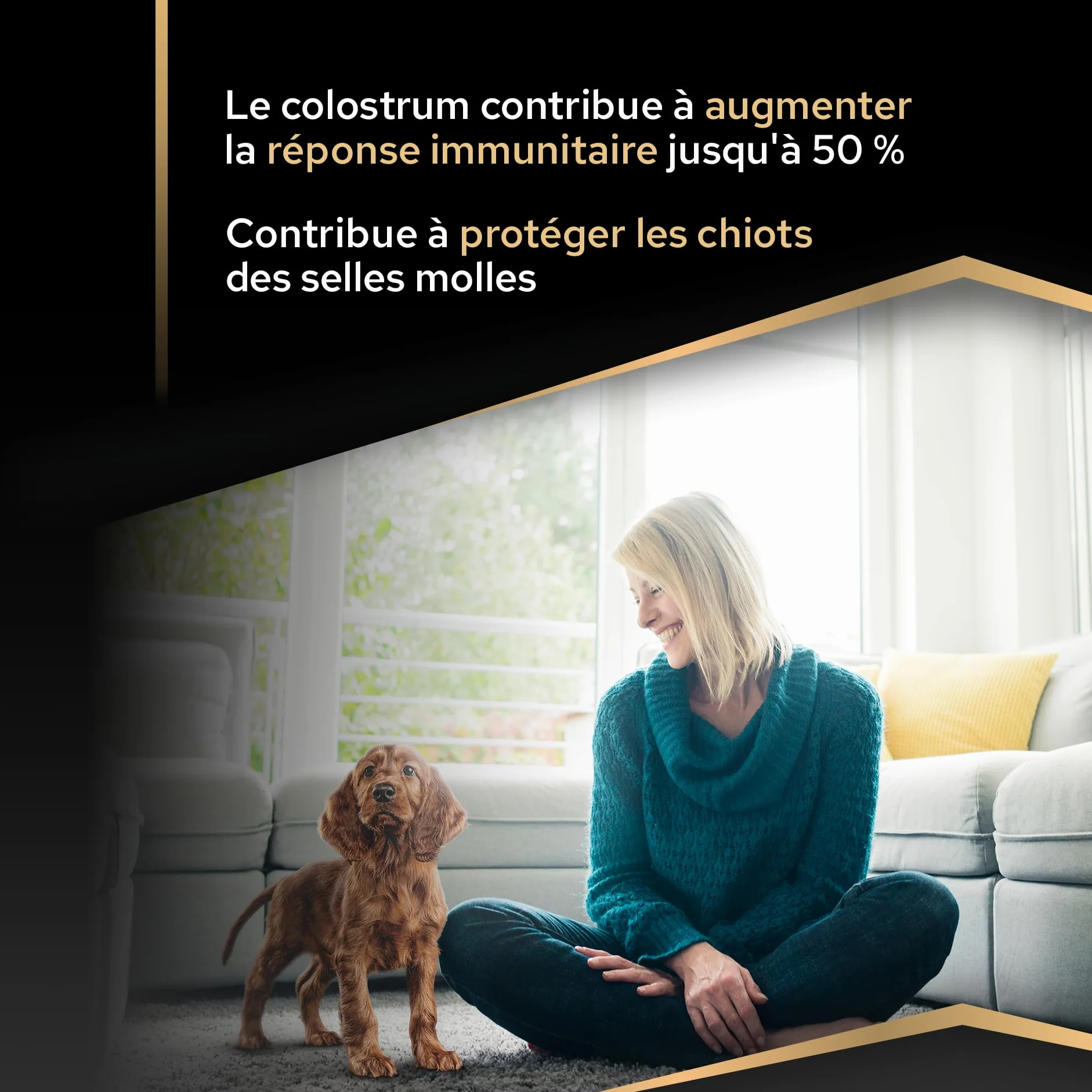 PRO PLAN Chien Large Puppy Athletic Healthy Start Poulet 12KG