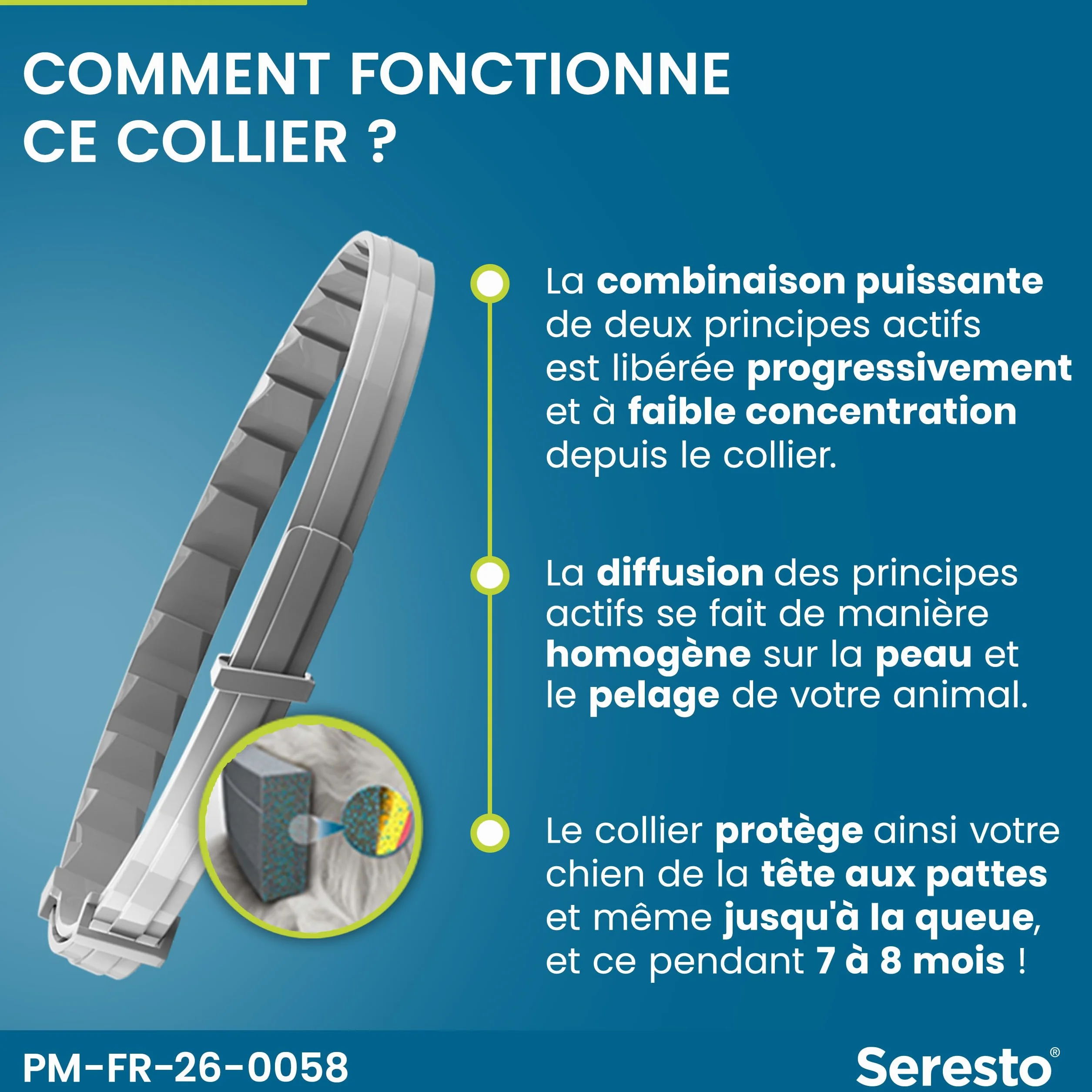 Seresto Collier Chats – Protection anti puces et anti tiques longue durée 7-8 mois Gris