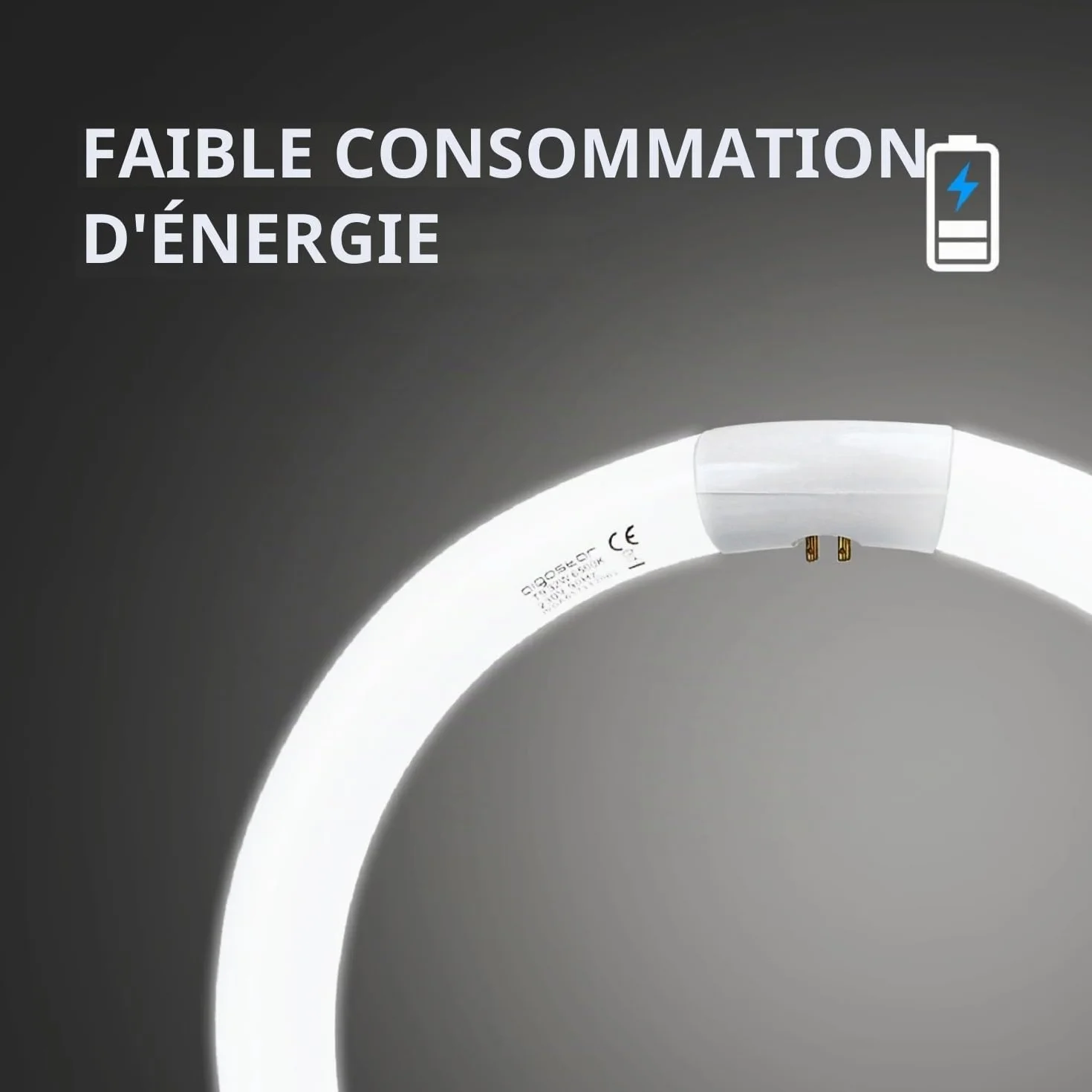 Aigostar Tube fluorescent circulaire T9 32W G10Q Blanc froid 6500K 2100 lumens CRI 80 30cm