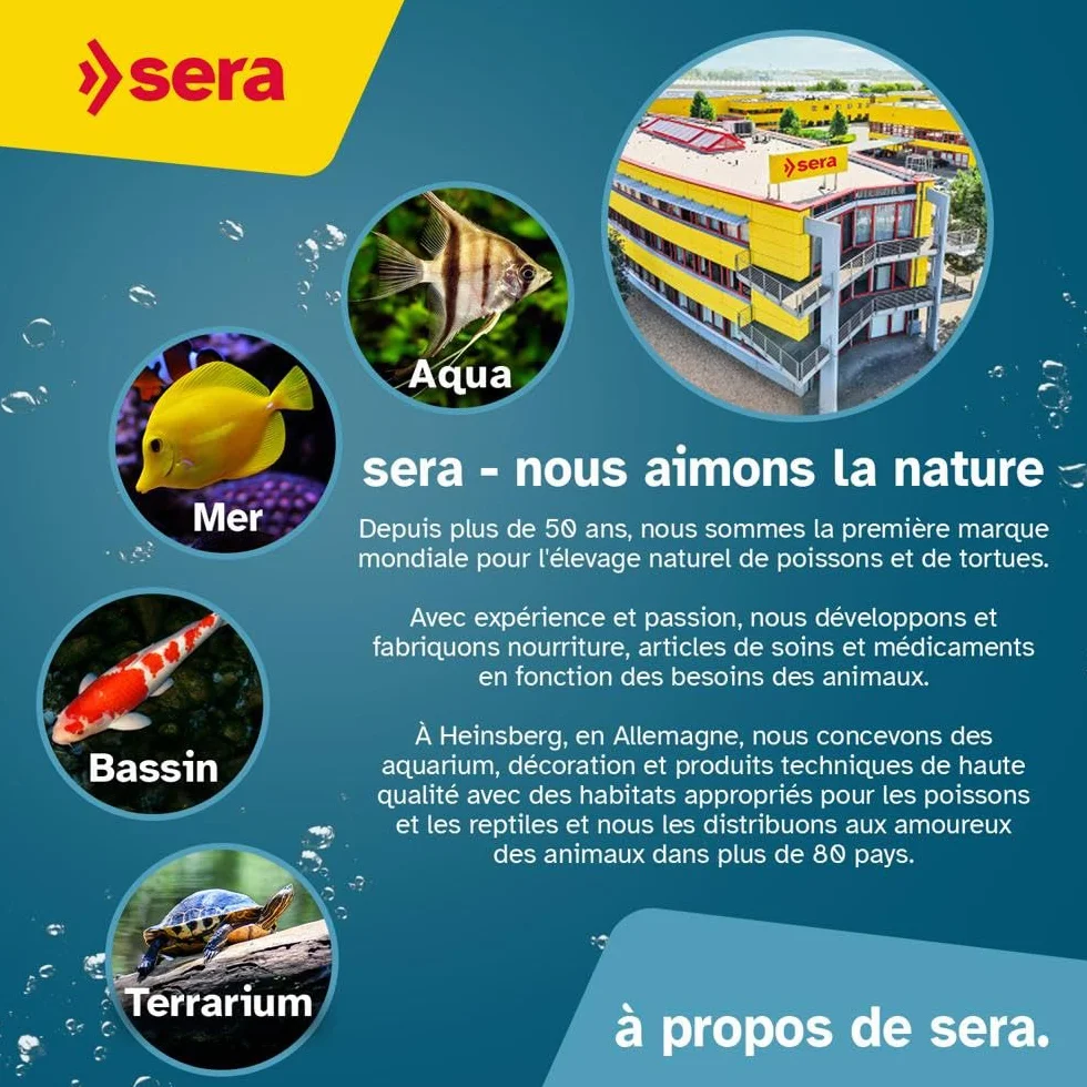 Sera Turtle Adult Raffy P Pellets 3,8L (850g) Aliment Principal pour Tortues Aquatiques Carnivores Adultes