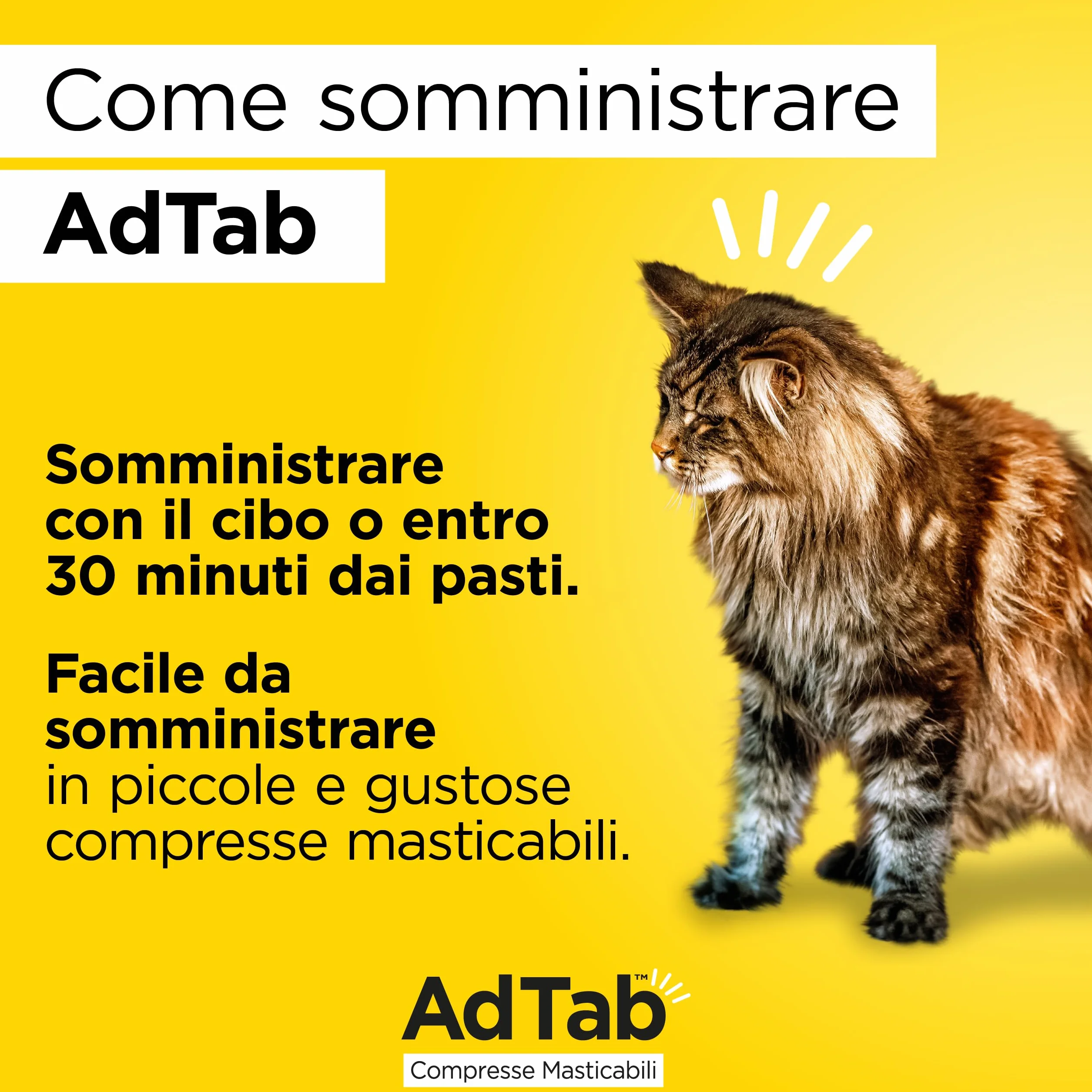 AdTab Comprimés à croquer pour Chats 2,0-8,0 kg - 3 comprimés