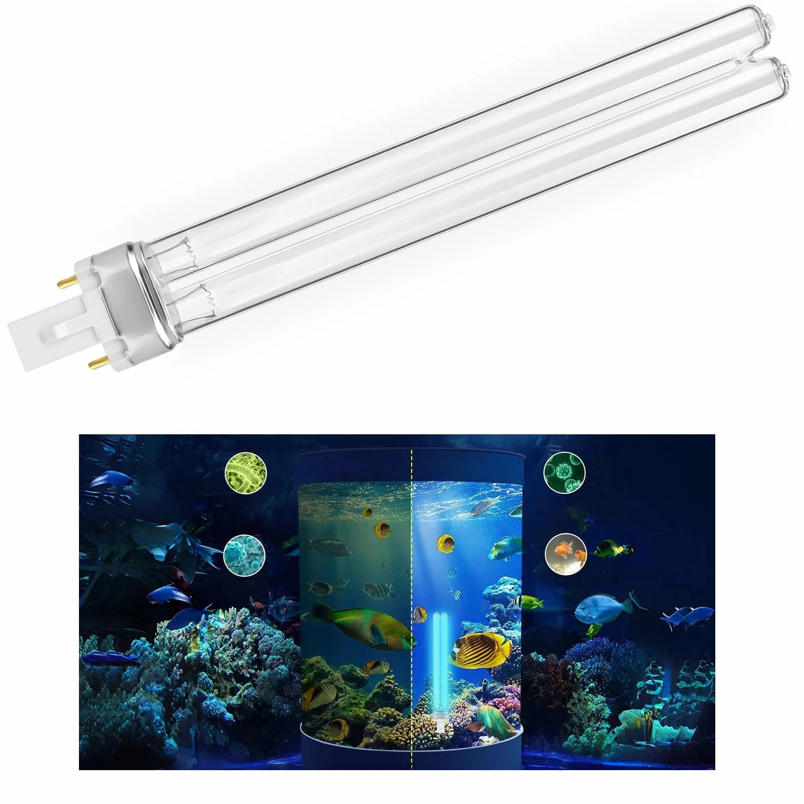 Ampoules UVC 11W 2 Broches G23 PLS Remplacement pour Filtre de Bassin, Étangs à Poissons