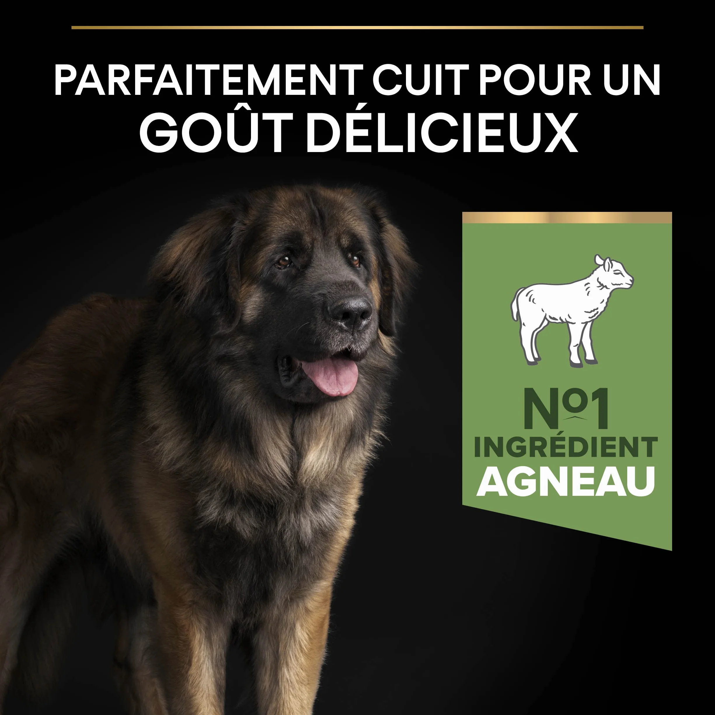 PURINA PRO PLAN Croquettes Sensitive Digestion pour Grand Chien Robustes 14kg
