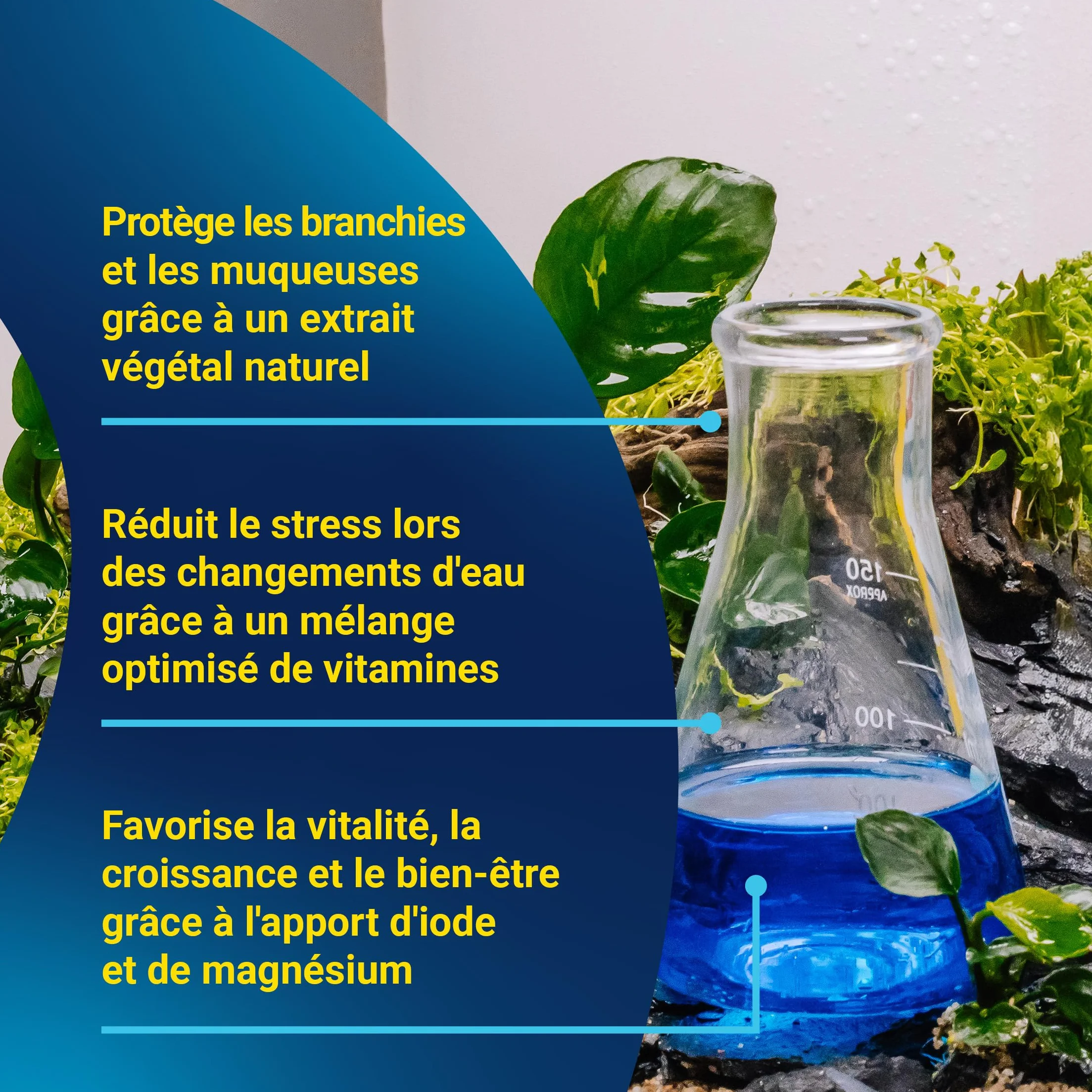 TETRA AquaSafe Conditionneur d'Eau Naturel 500 ml Anti-Stress Eau Douce Eau de Mer