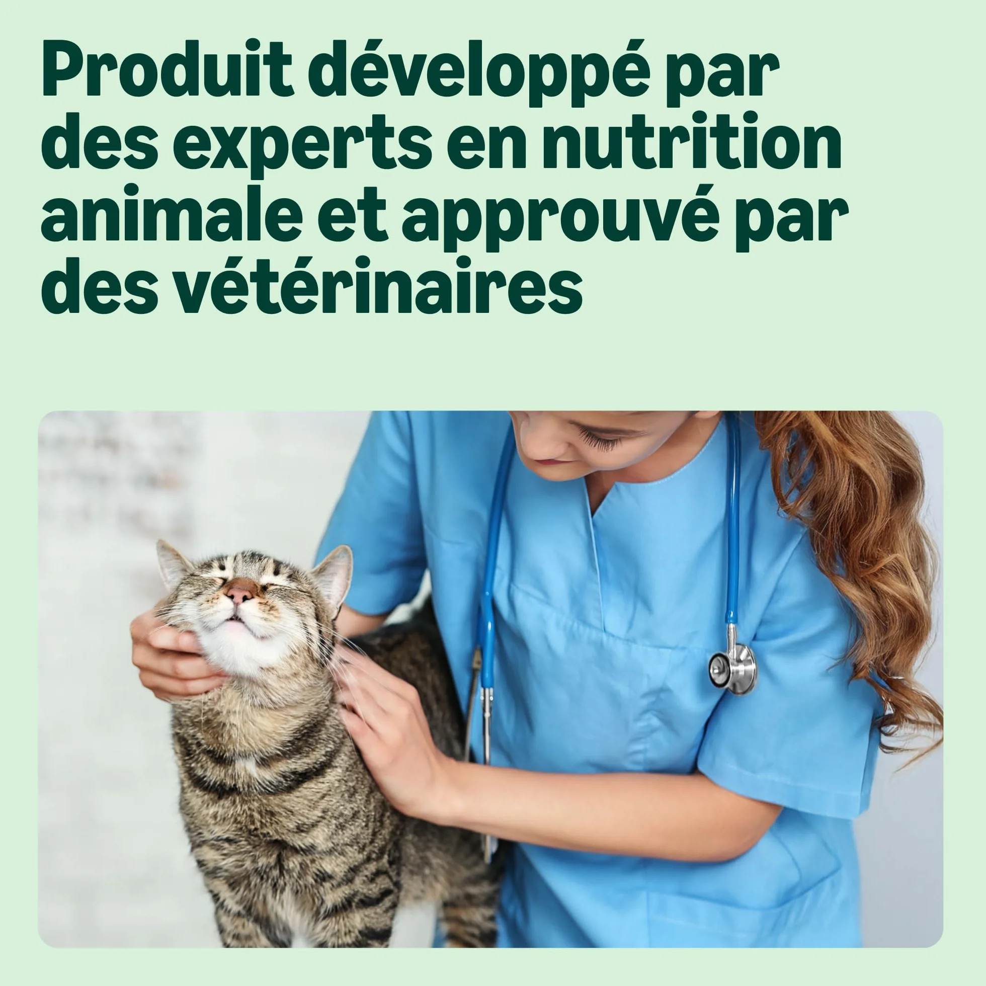 Amazon Croquettes complètes pour chats adultes au poulet dinde et légumes 10kg