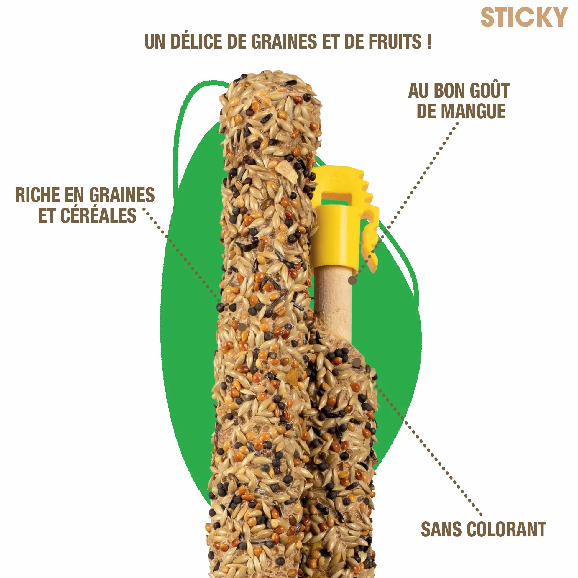 RIGA Barres De Sticky Aux Fruits Nourriture Pour Oiseaux Baguettes Graines Cuites Au Four Mangue Déshydratée x 2