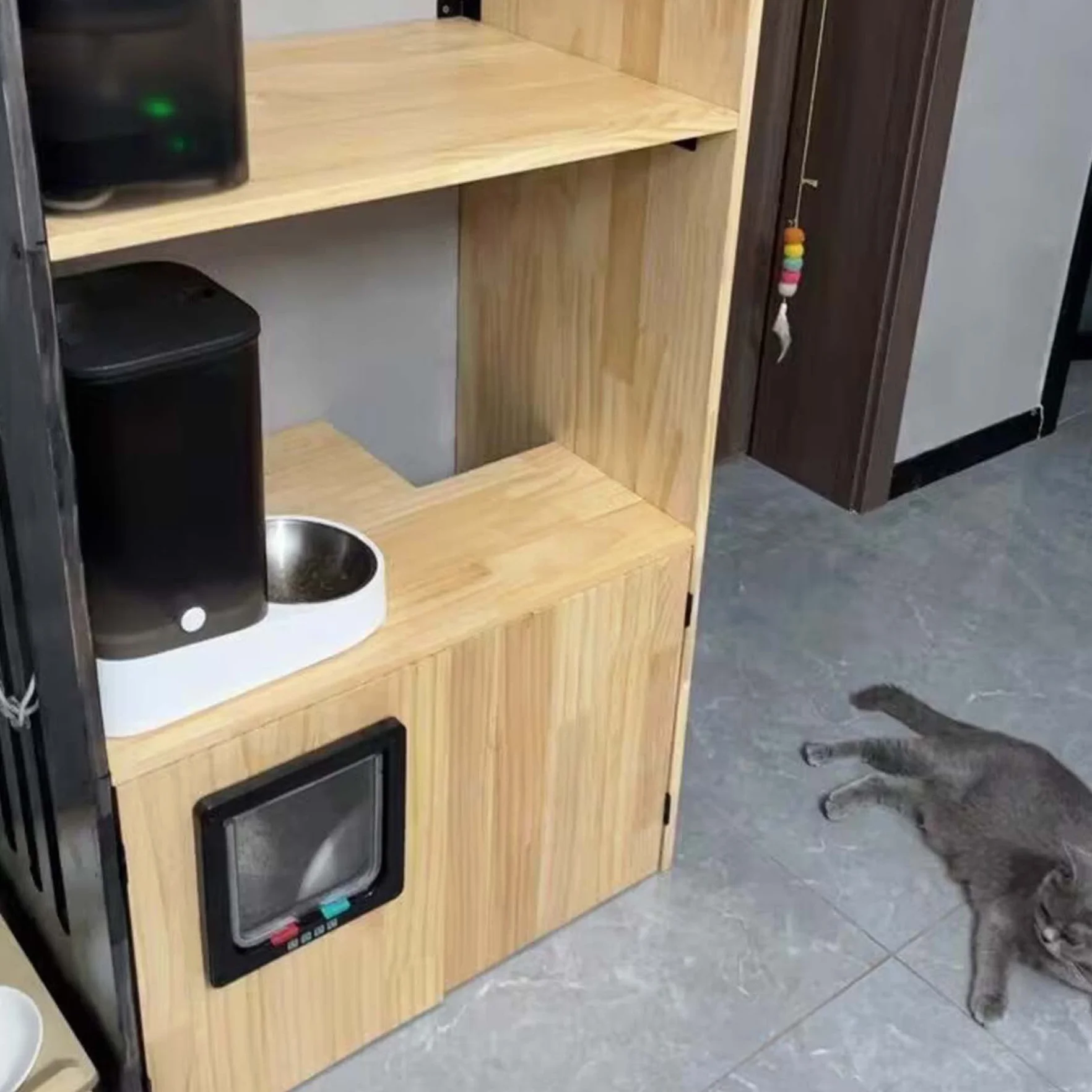 Chat avec fermeture à 4 voies, porte pour animaux domestiques, chat/chien avec tunnel