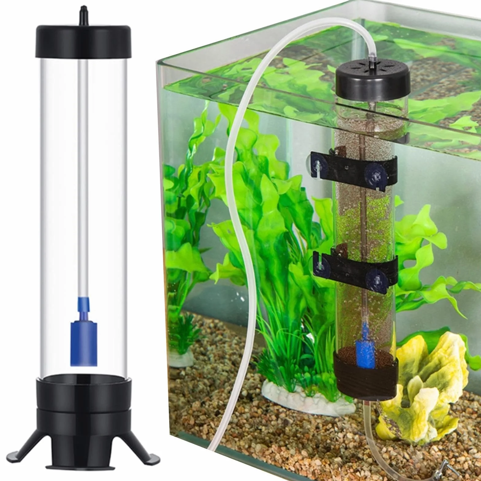 Écloserie d'œufs d'Artemia Incubateur pour Aquarium