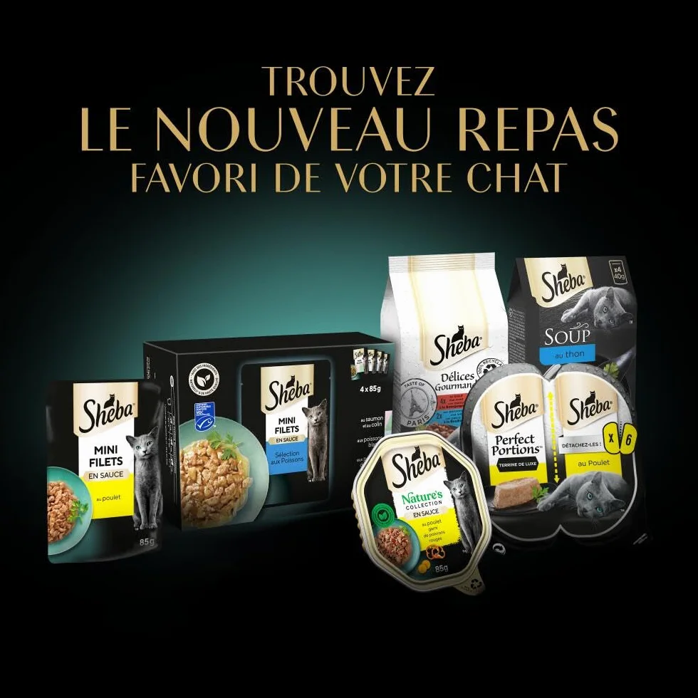 Sheba Sauce Collection Sachets fraîcheur Nourriture Humide aux Poissons pour Chat Adulte 40x85g
