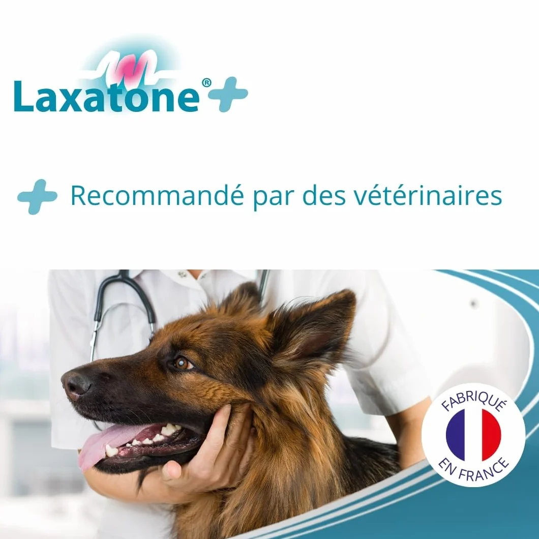 Plus Complément Alimentaire pour Chiens et Chats Pâte orale Fibres Sorbitol Boules de Poils Transit intestinal 100g