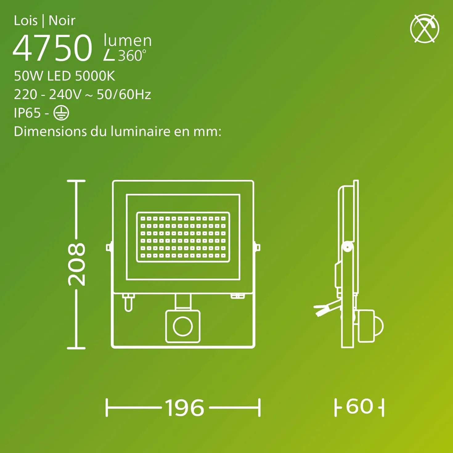 Philips Lois Projecteur Extérieur 50W 5000K Noir