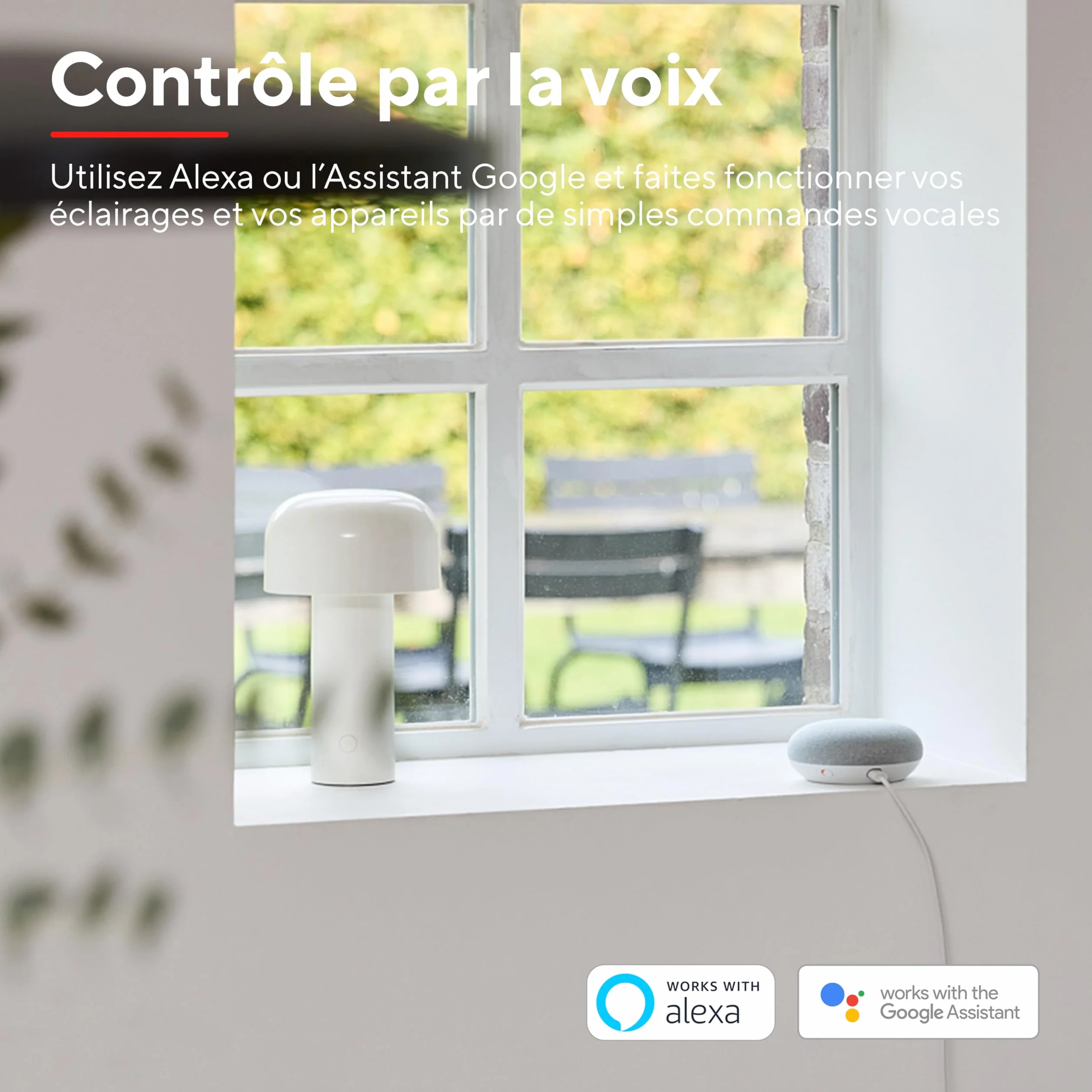 Ampoule Connectée WiFi E27 Compatible Alexa Google Home, Dimmable Sans Hub, 2.4GHz LED Lampe Blanc Chaud Froid, Lot de 2