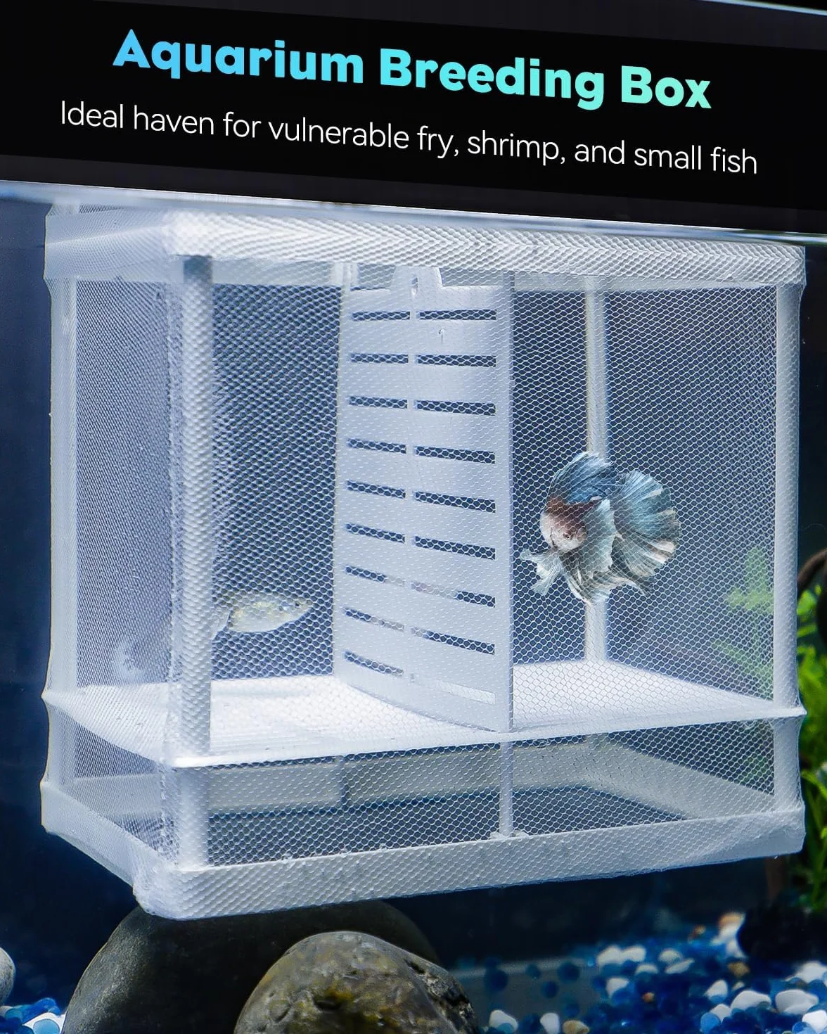 Pawfly Filet d'élevage pour Aquarium boîte de Reproduction Maille Nylon ventouses Filet de séparation écloserie incubateur alevins crevettes Betta
