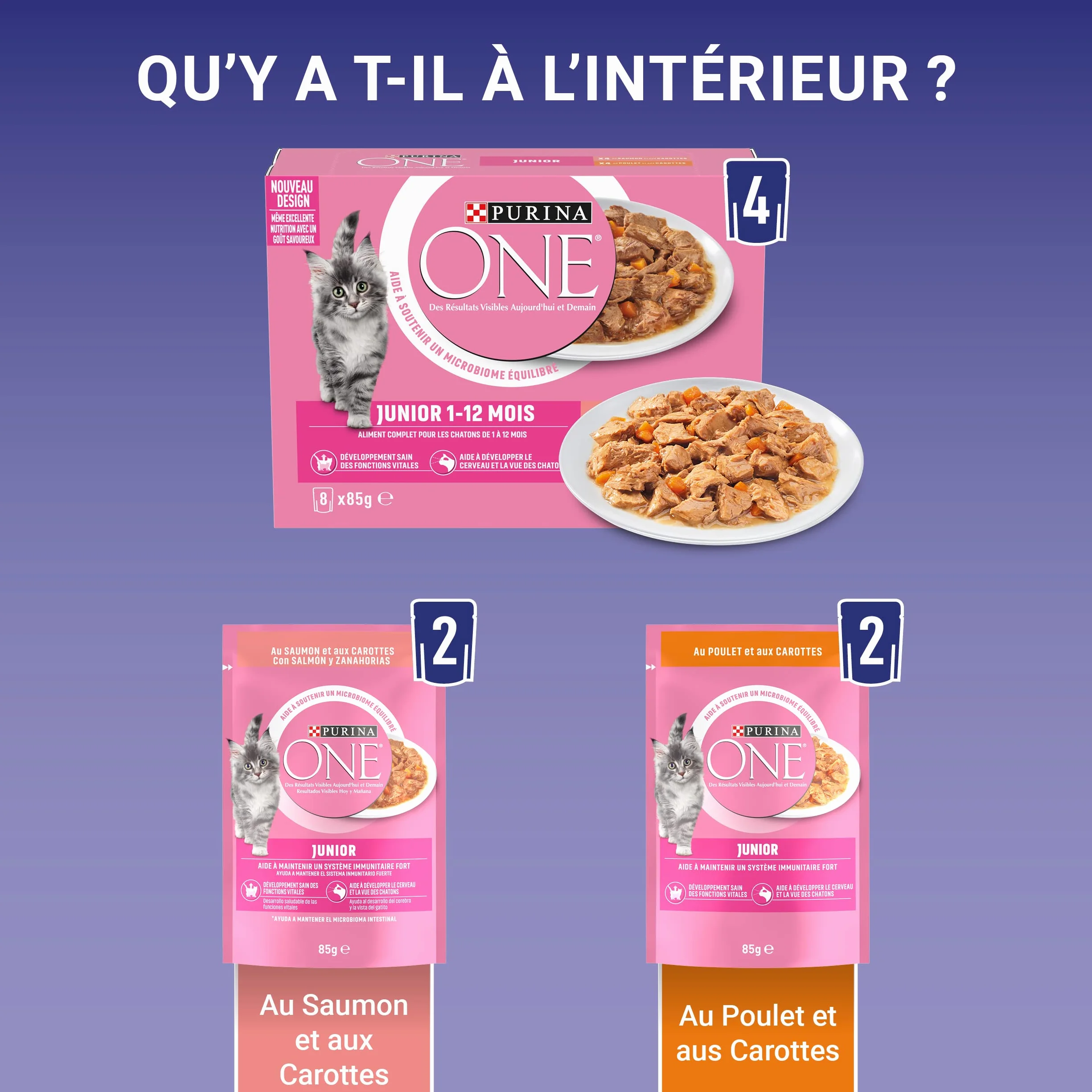 PURINA ONE Chat Kitten Effilés Sauce Saumon Poulet 8x85g
