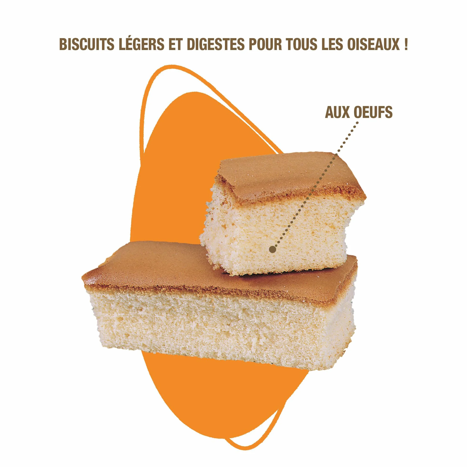 Biscuits Oiseaux aux Œufs Boîte de 6 (1 x 65 g)