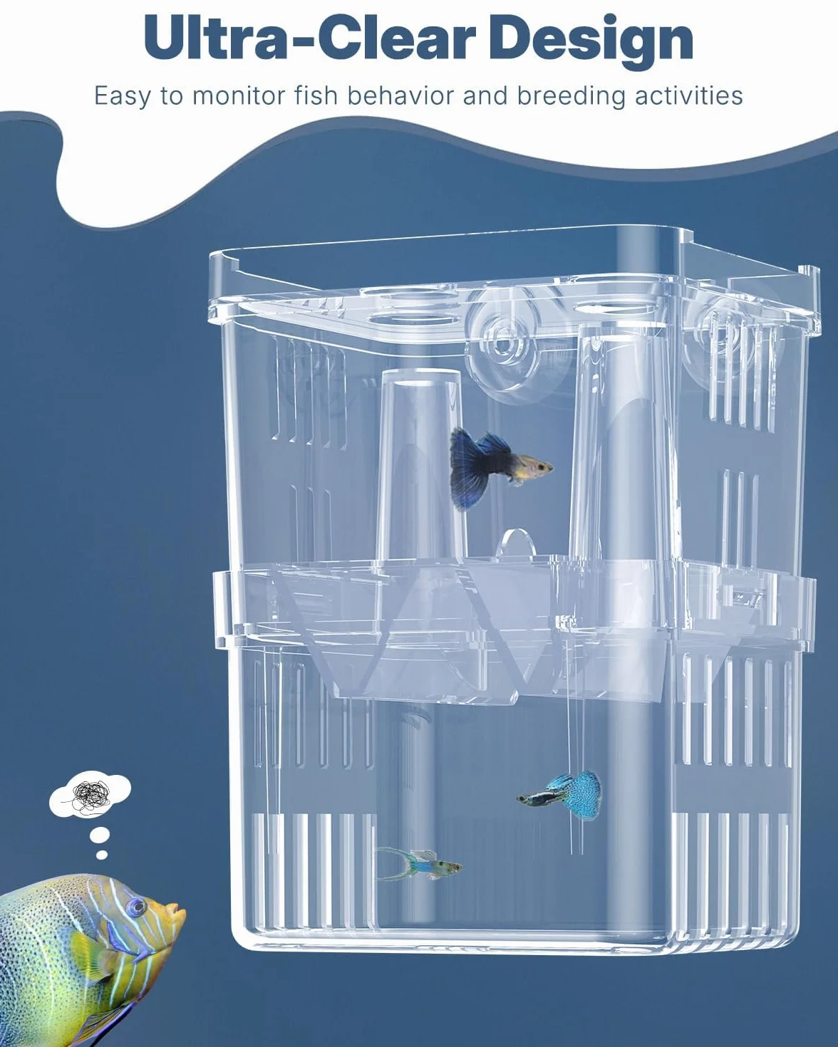 Pawfly Aquarium Boîte d'élevage en Plastique Transparent pour Poissons Incubateur Guppy