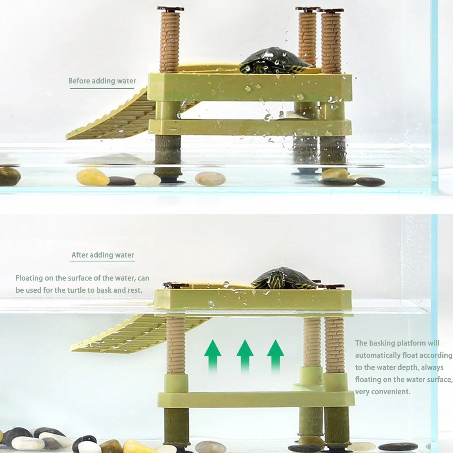 Plateforme Flottante pour Tortue avec Échelle Moyen