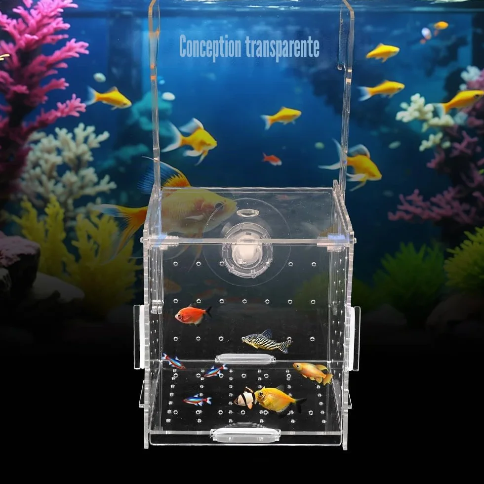 Boîte d'isolation d'aquarium en acrylique 10×10×10 cm transparente avec trous d'aération et ventouses