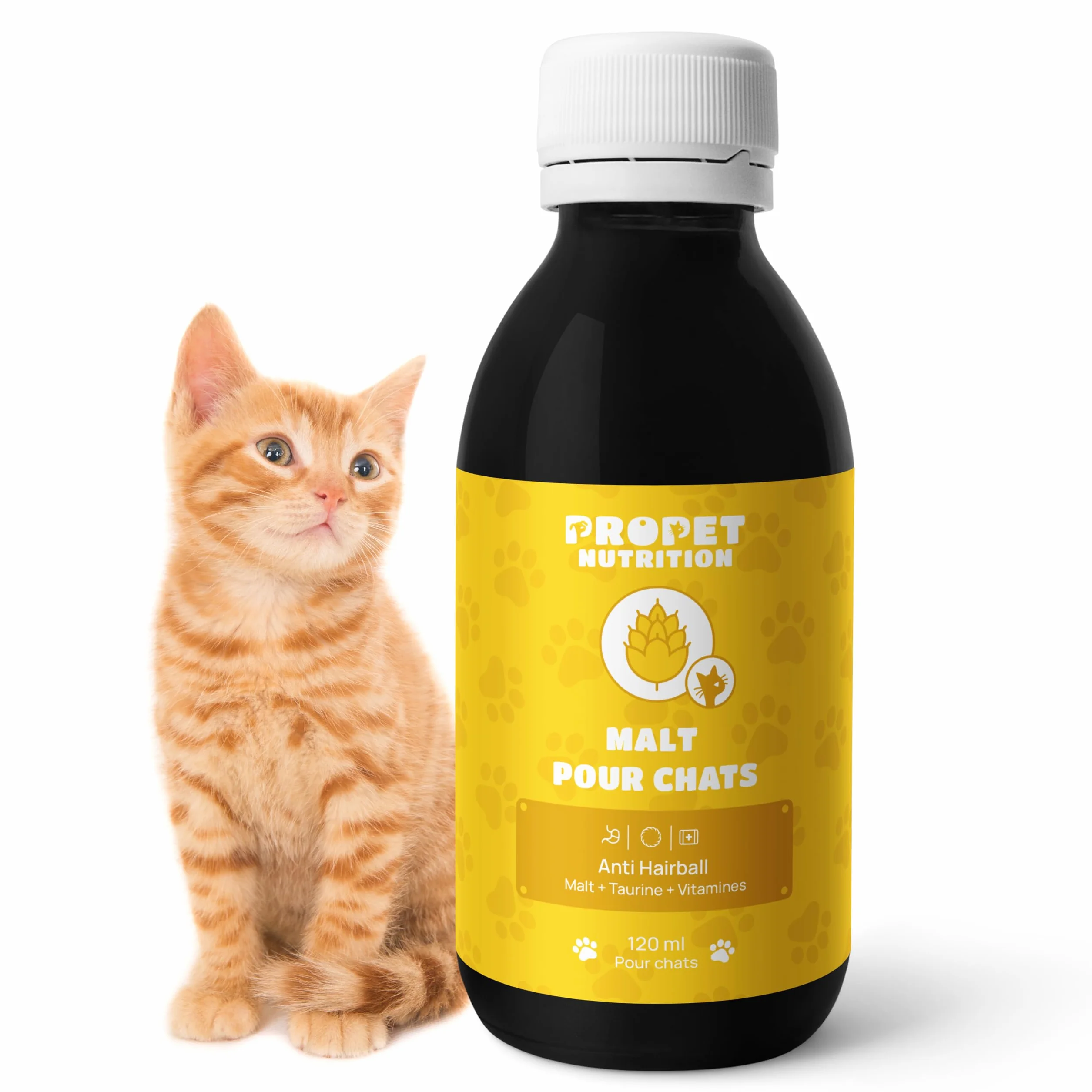 Malt Chat Anti Boule de Poil avec Taurine et Vitamines 120 ML