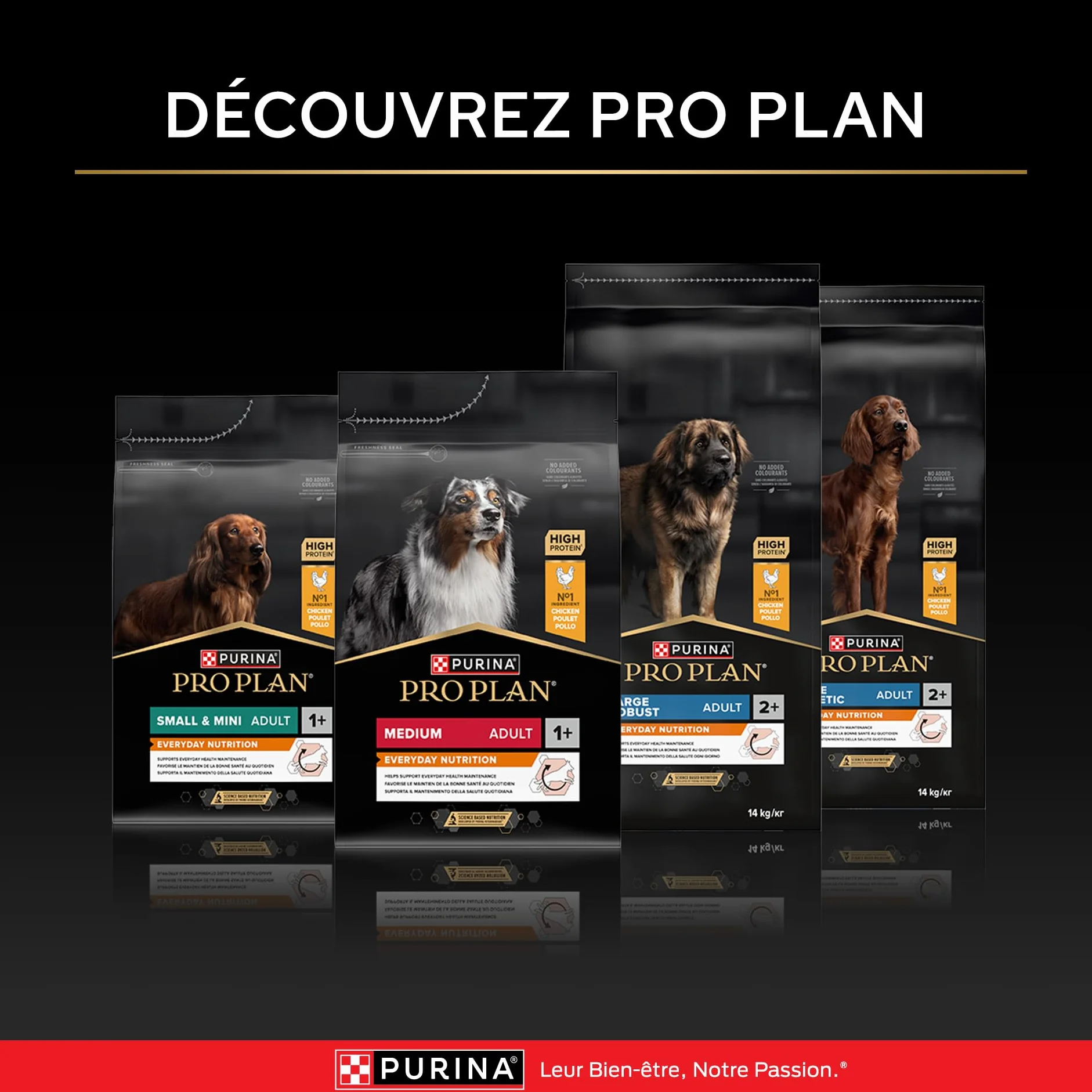 PRO PLAN Chien Large Puppy Athletic Healthy Start Poulet 12KG