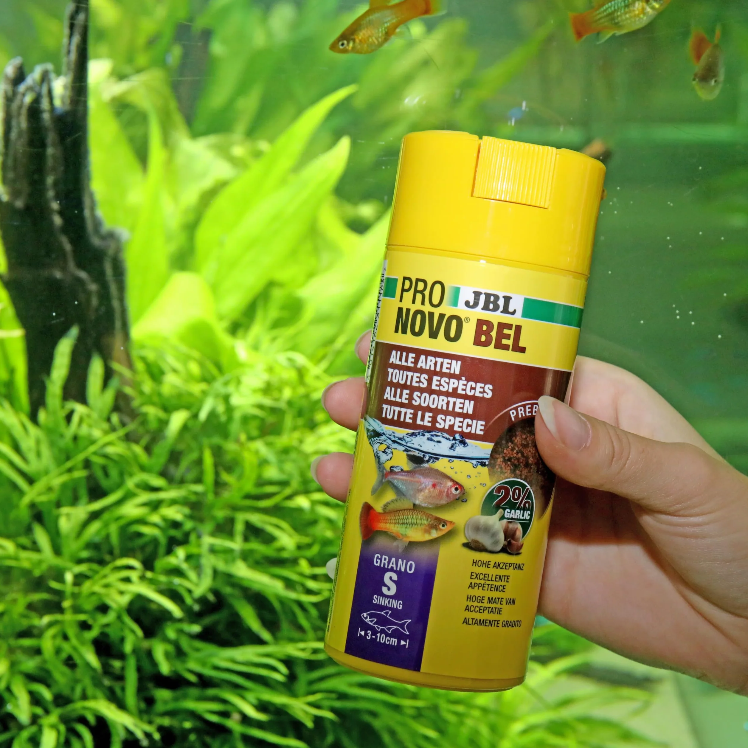 JBL PRONOVO BEL GRANO Aliment Base Poissons Aquarium 3-10 cm Granulés Doseur clic taille S 250 ml