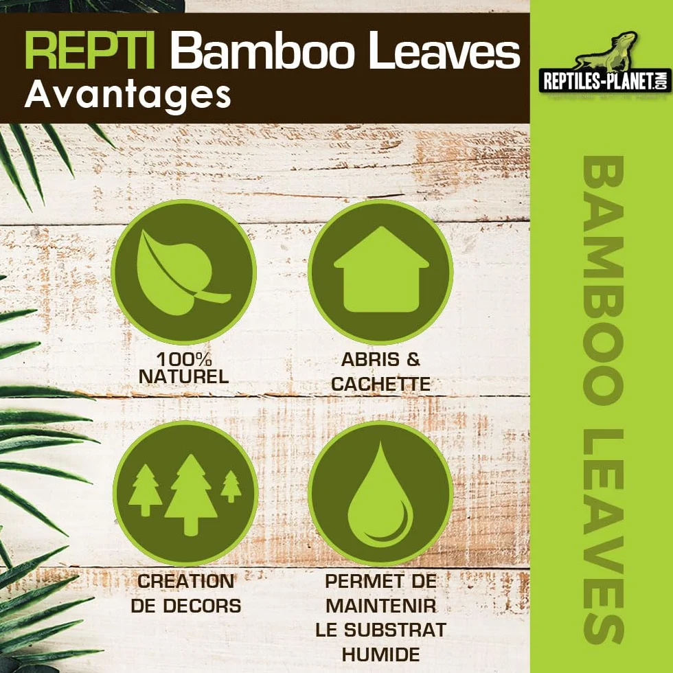 REPTILES PLANET Repti Bamboo Leaves Feuilles de Bambou Naturelles 2 litres Marron Clair