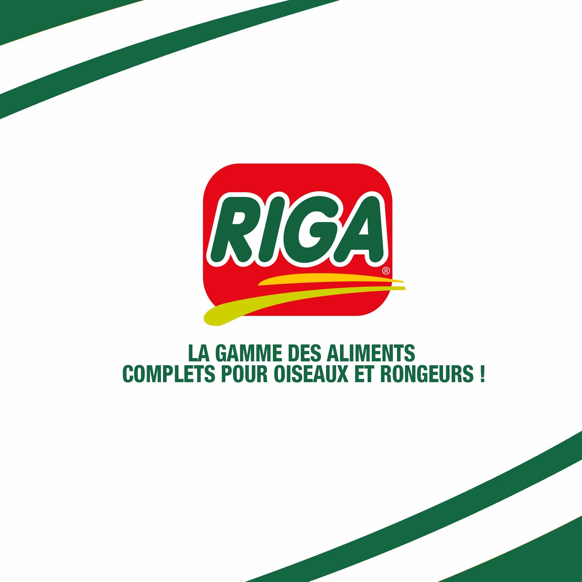 Riga Mélange pour Canaris Nourriture pour Oiseaux Graines et Céréales Riche en Vitamines et Minéraux 2KG