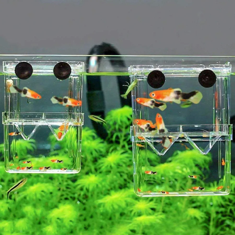 SENZEAL Boîte d'élevage de poisson flottante avec pipettes pour aquarium
