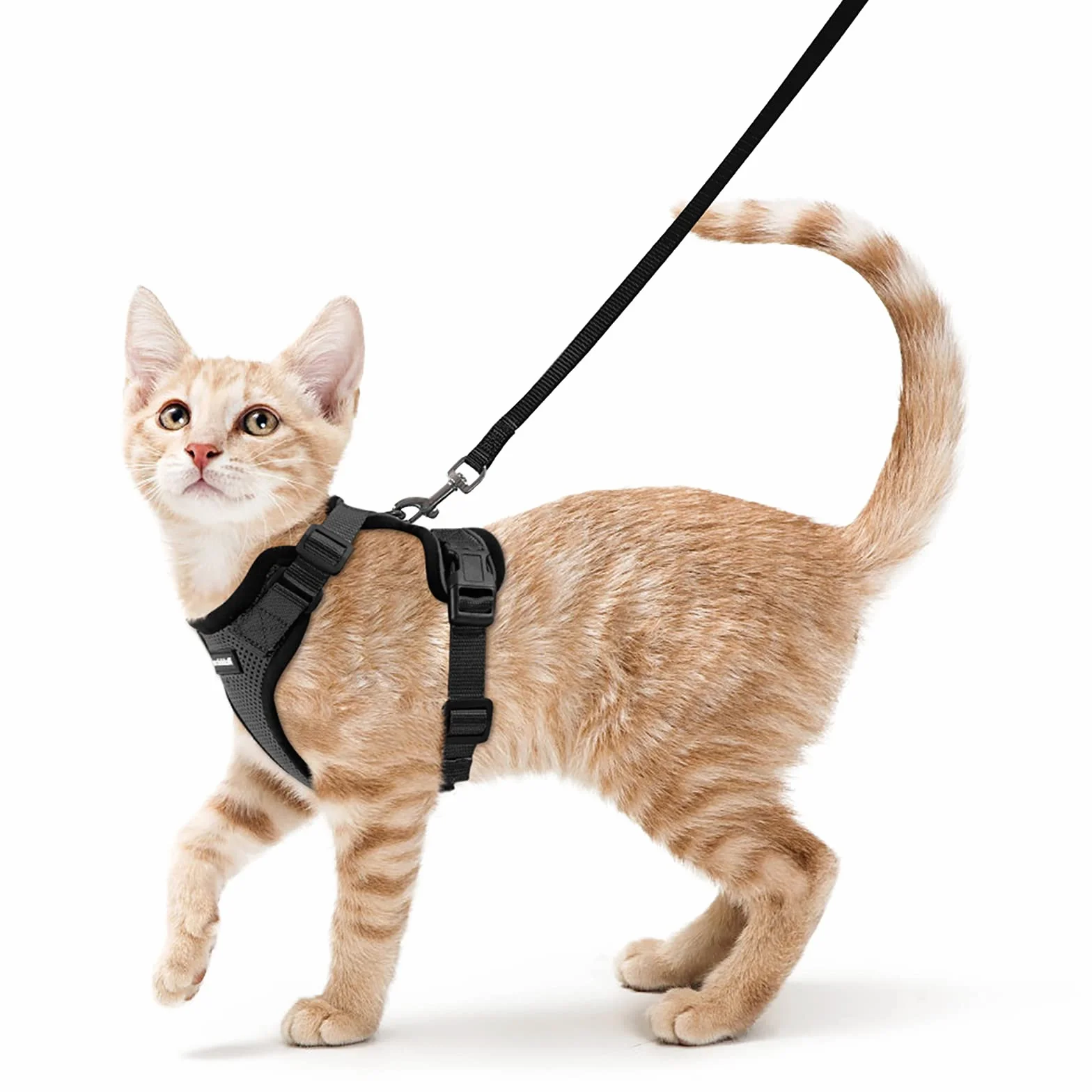 Rabbitgoo Harnais Chat Réglable Noir XS Réfléchissant Gilet Respirant pour Petit Chien Chaton