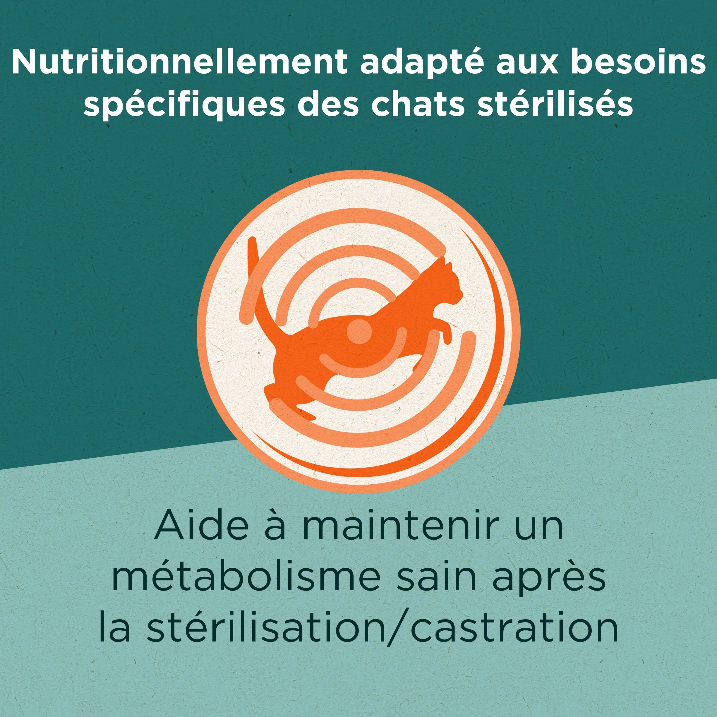 PURINA ONE DualNature Natural Defense Croquettes Chat Adulte Stérilisé Spiruline Bœuf Sac 1,4 Kg