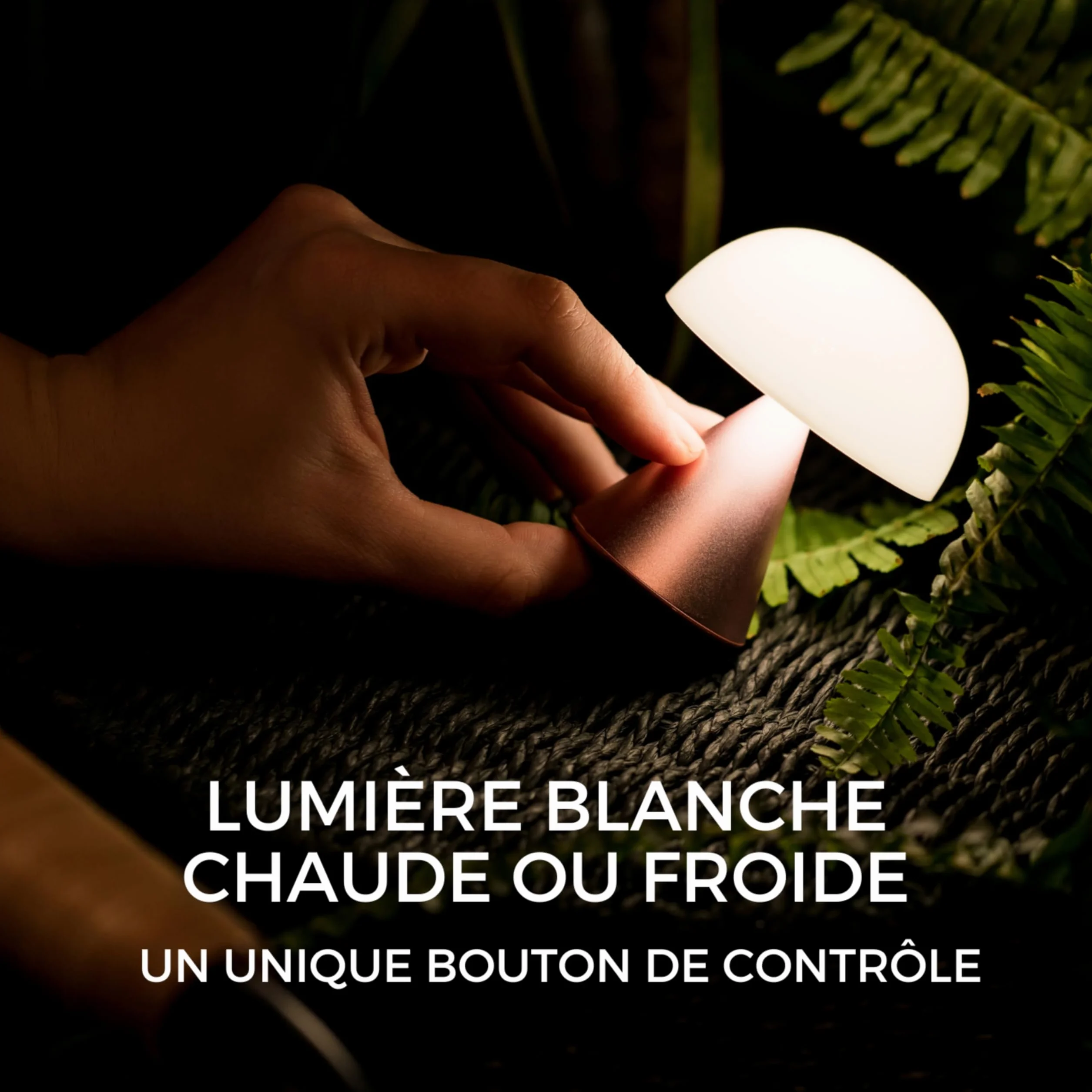 Lexon MINA Mini Lampe Champignon sans fil rechargeable LED à poser variateur intensité 12h autonomie Bleu Clair