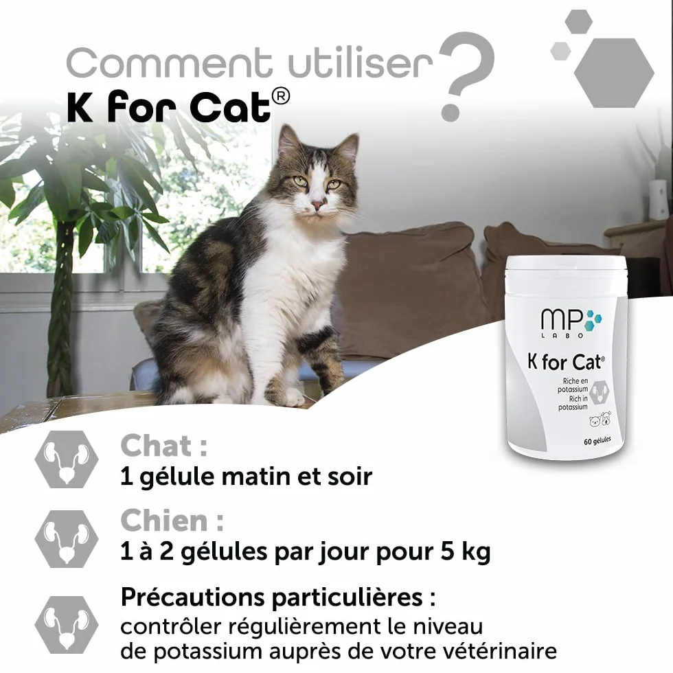 MP Labo K for Cat 60 Gélules Riche en Potassium pour Chien et Chat